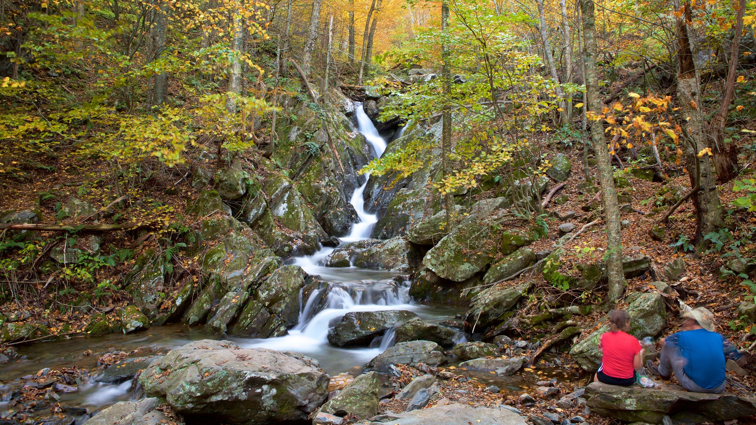 Shenandoah National Park Wallpapers