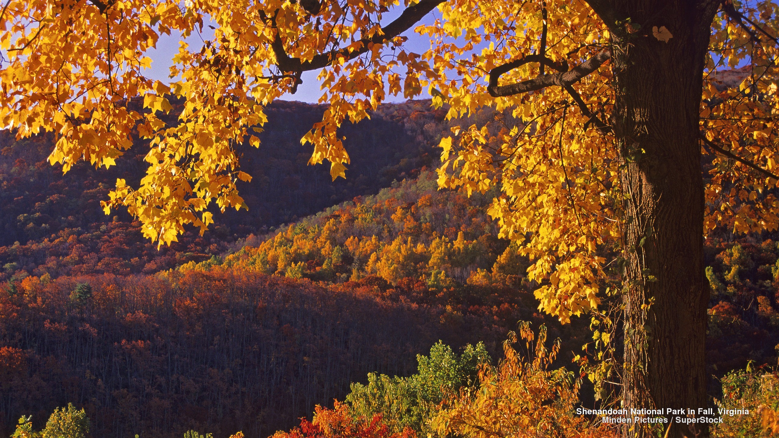 Shenandoah National Park Wallpapers