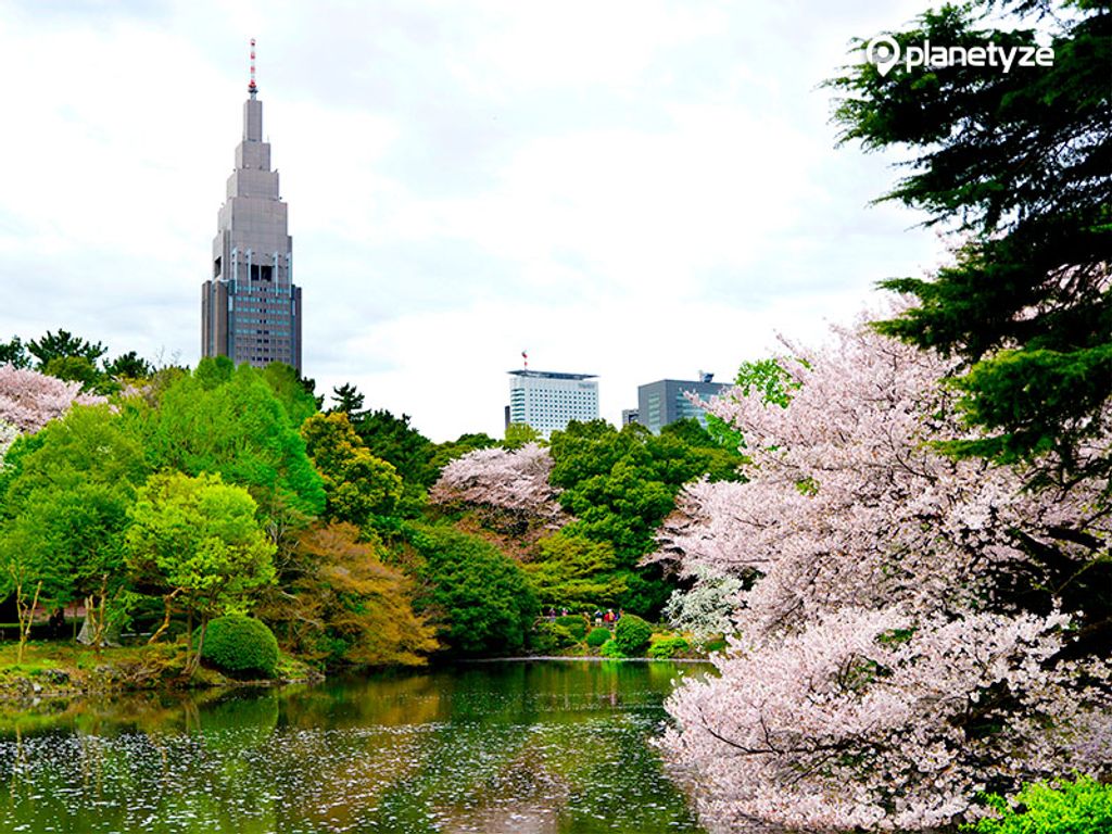 Shinjuku Gyoen Wallpapers