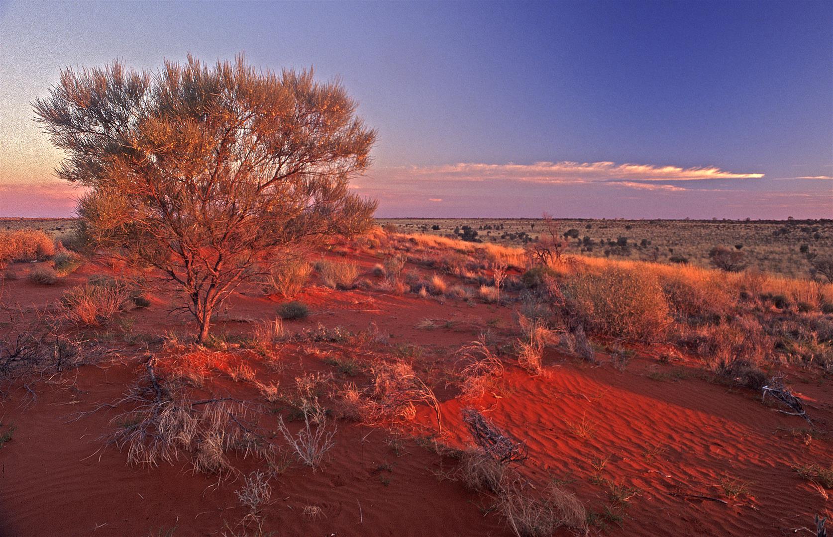 Simpson Desert Wallpapers