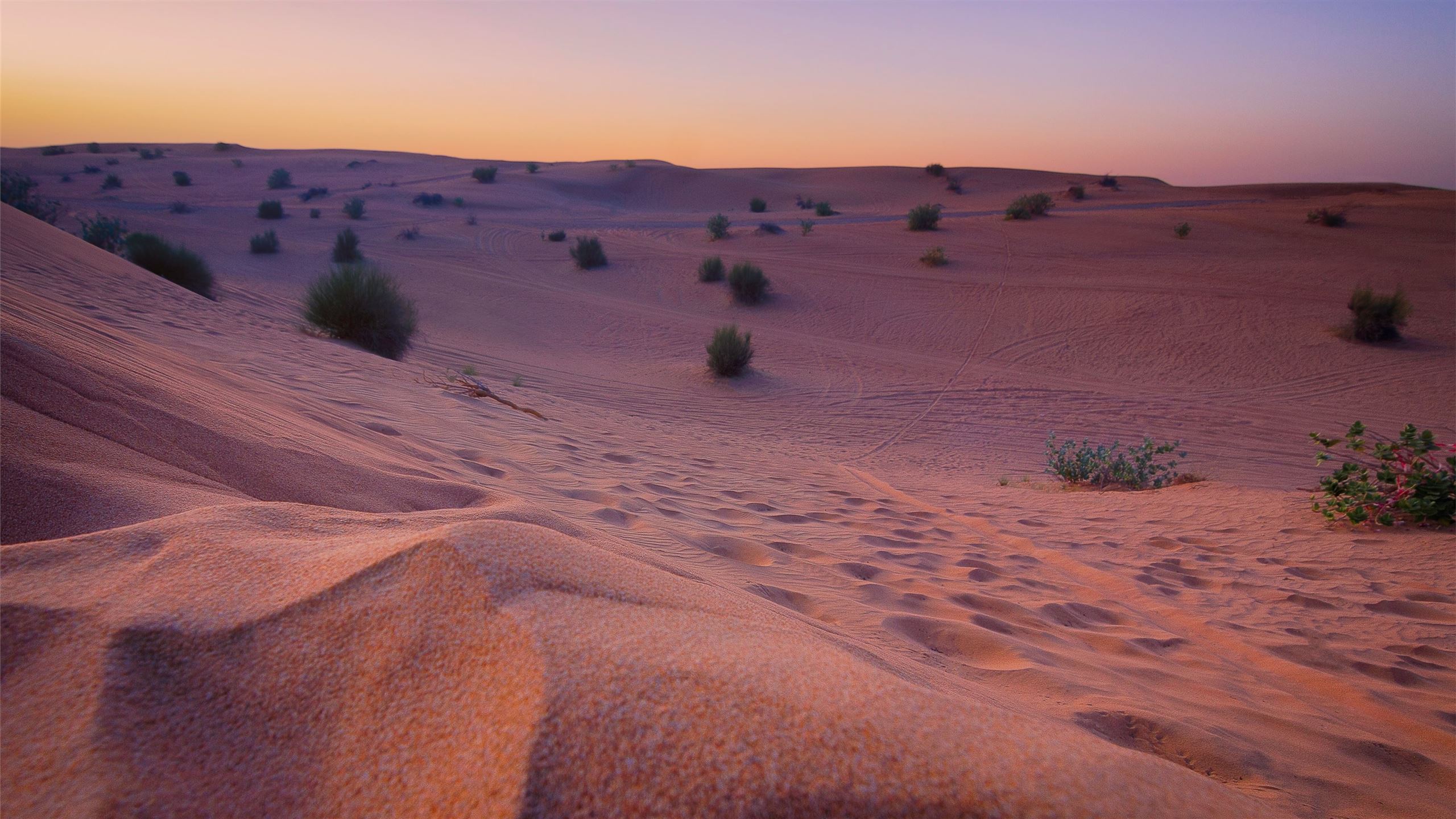 Simpson Desert Wallpapers