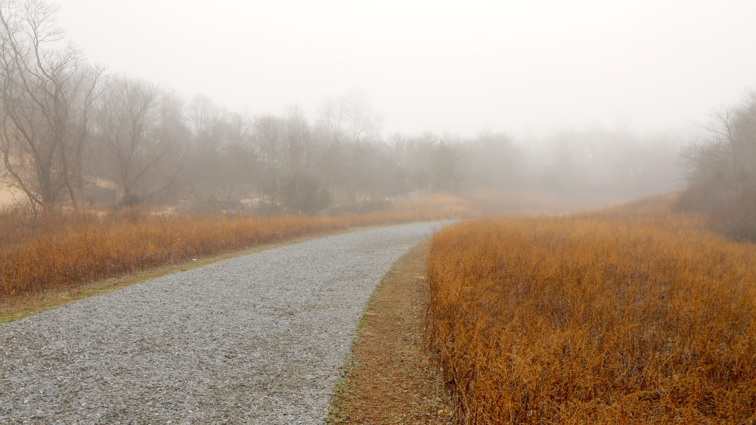 Single House In Fogy Winter Wallpapers