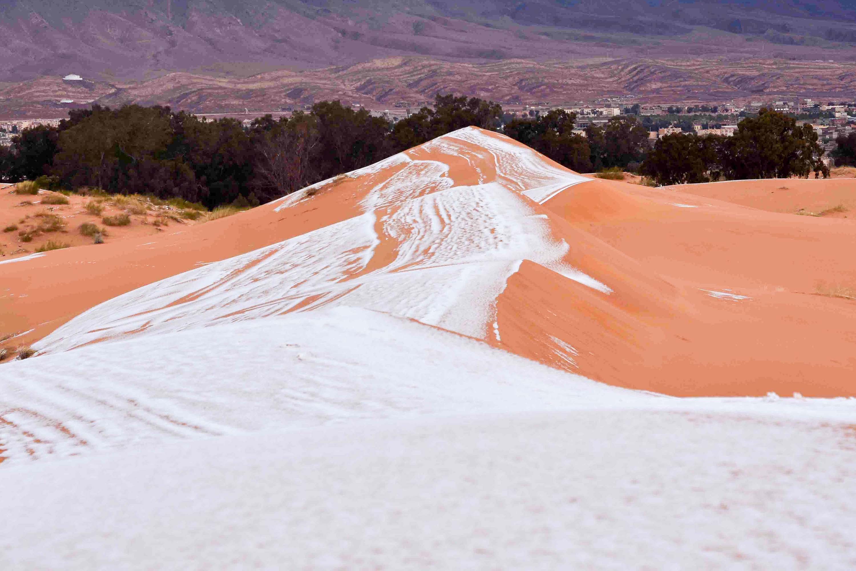 Snow On A Mountain Behind The Desert Wallpapers