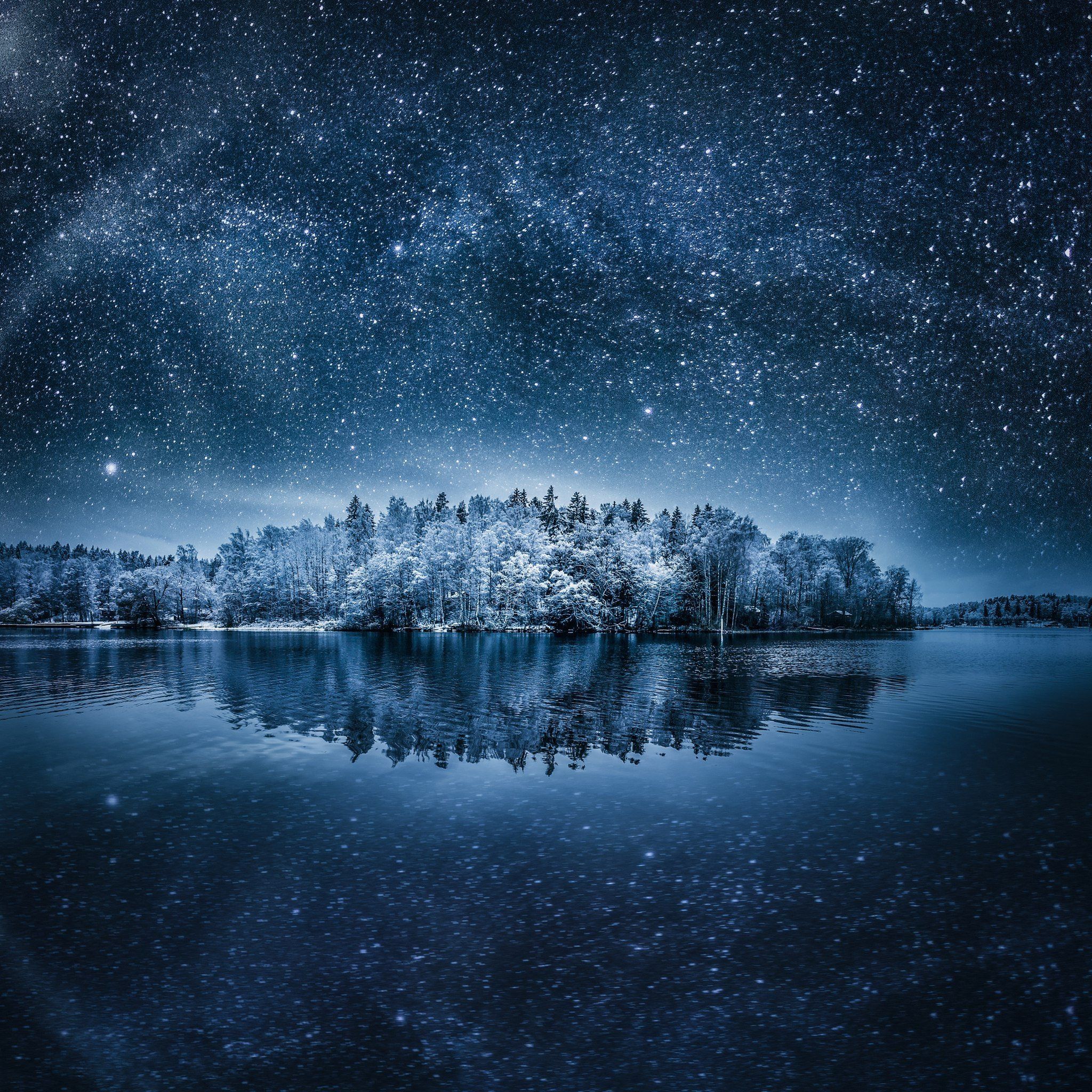 Snow Sky Stars Trees Wallpapers