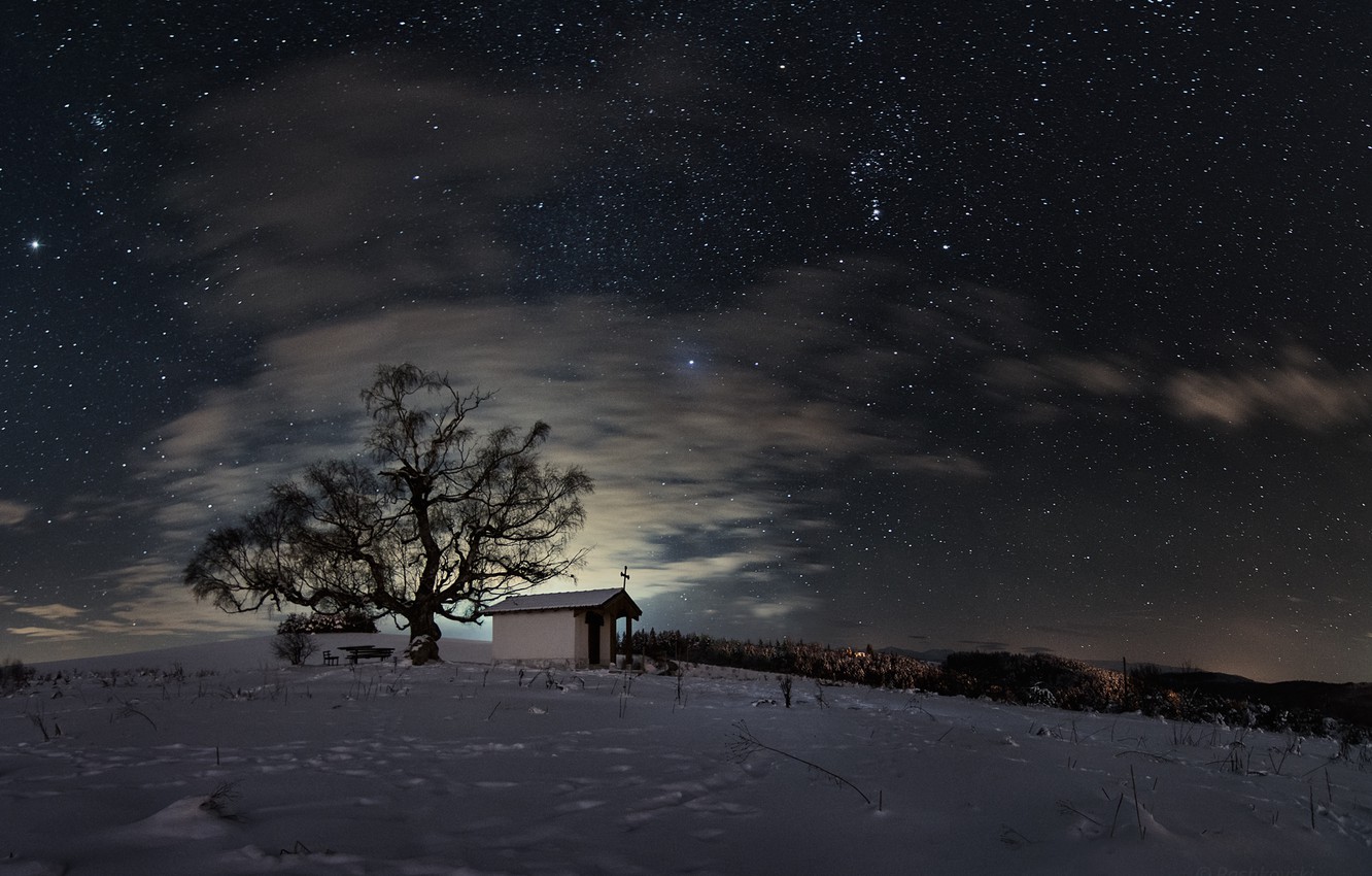 Snow Sky Stars Trees Wallpapers