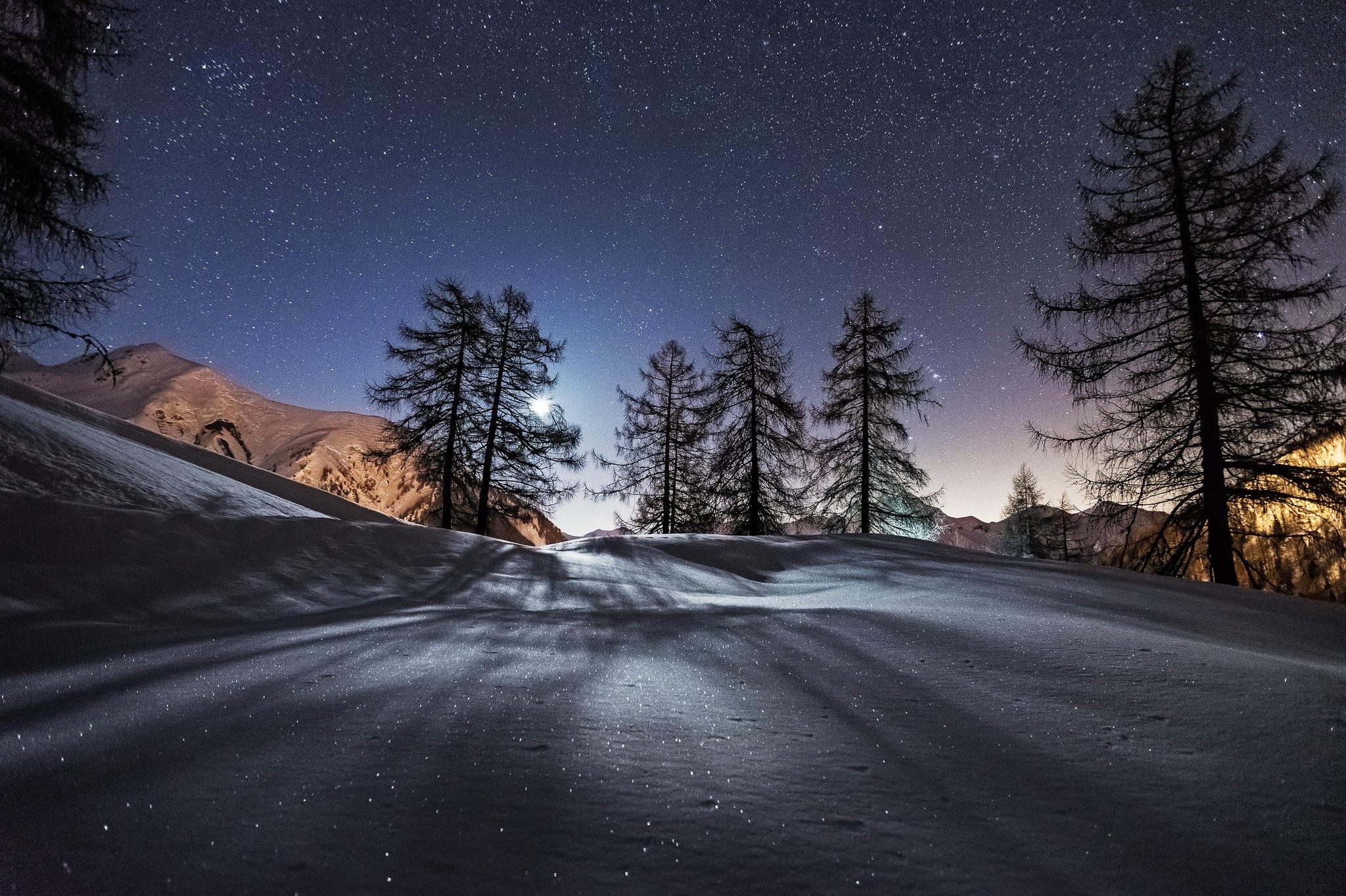 Snow Sky Stars Trees Wallpapers