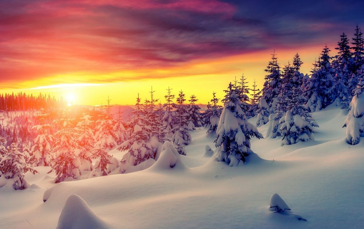 Snowy Winter Sunrise Wallpapers