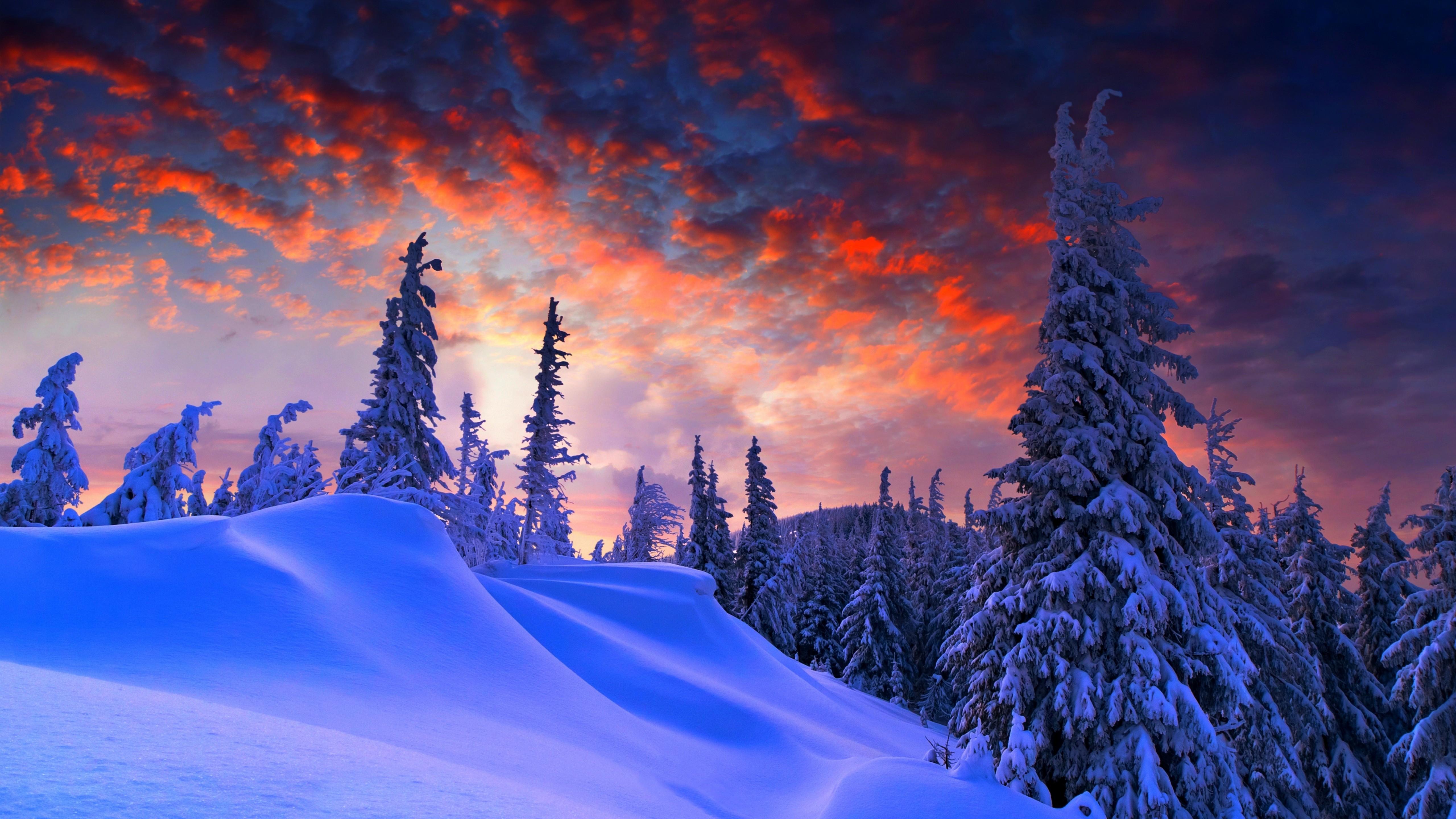 Snowy Winter Sunrise Wallpapers