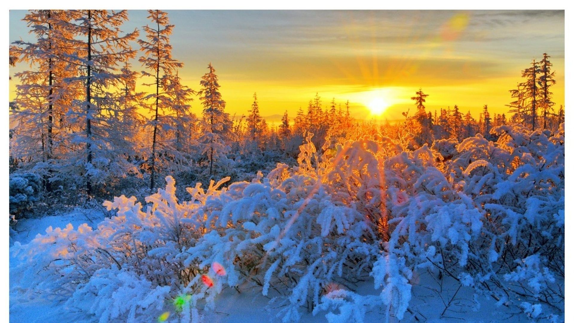 Snowy Winter Sunrise Wallpapers