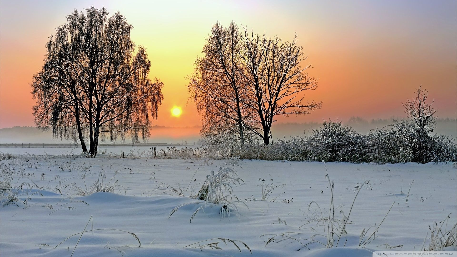 Snowy Winter Sunrise Wallpapers