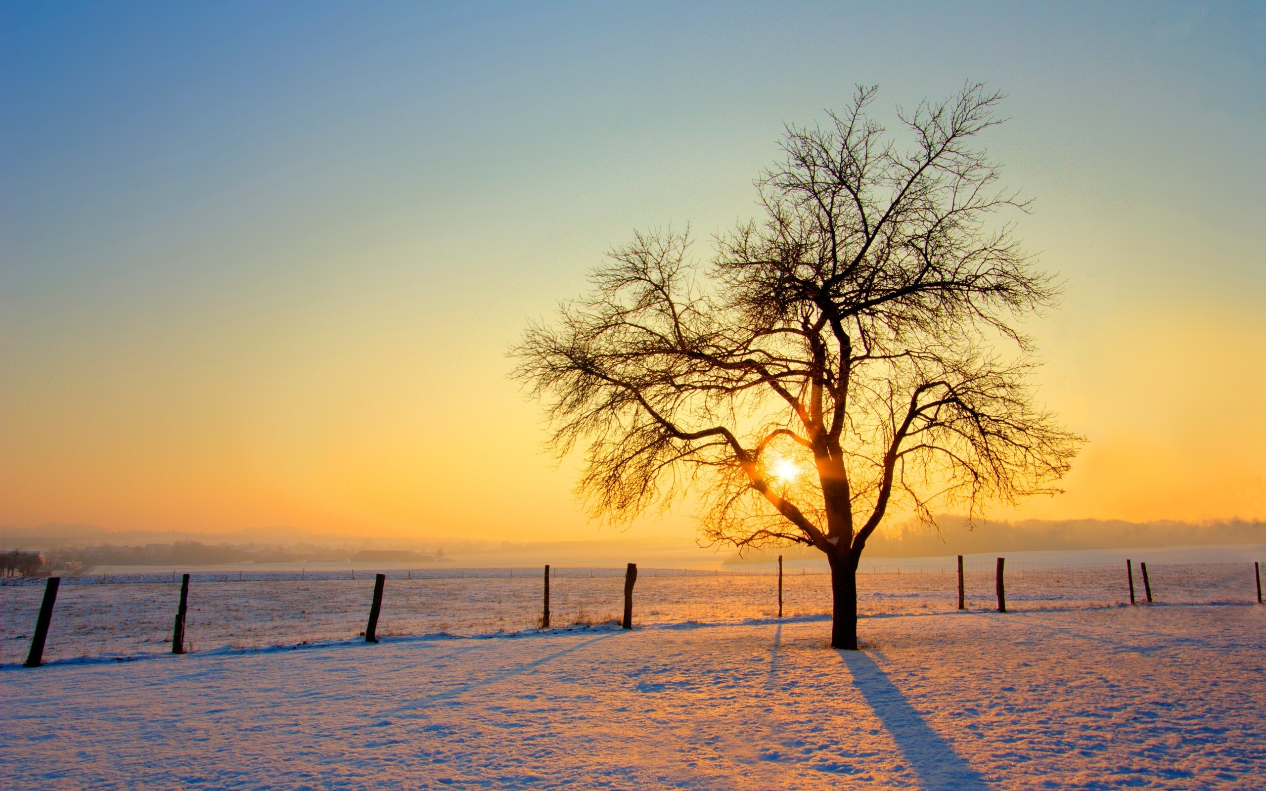 Snowy Winter Sunrise Wallpapers