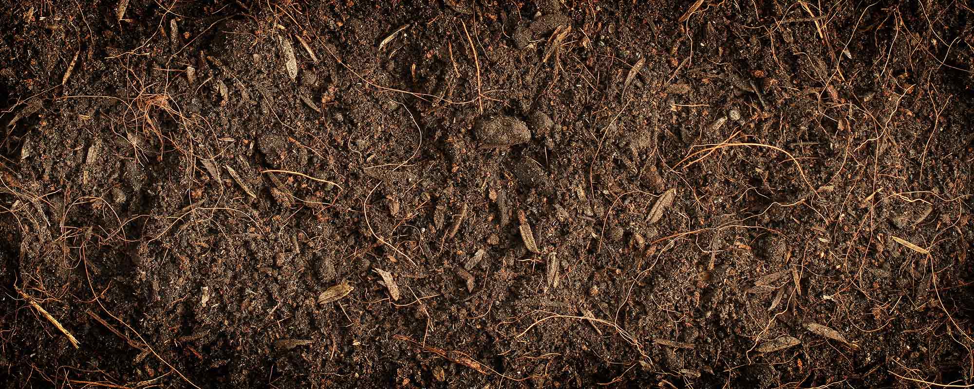 Soil Wallpapers