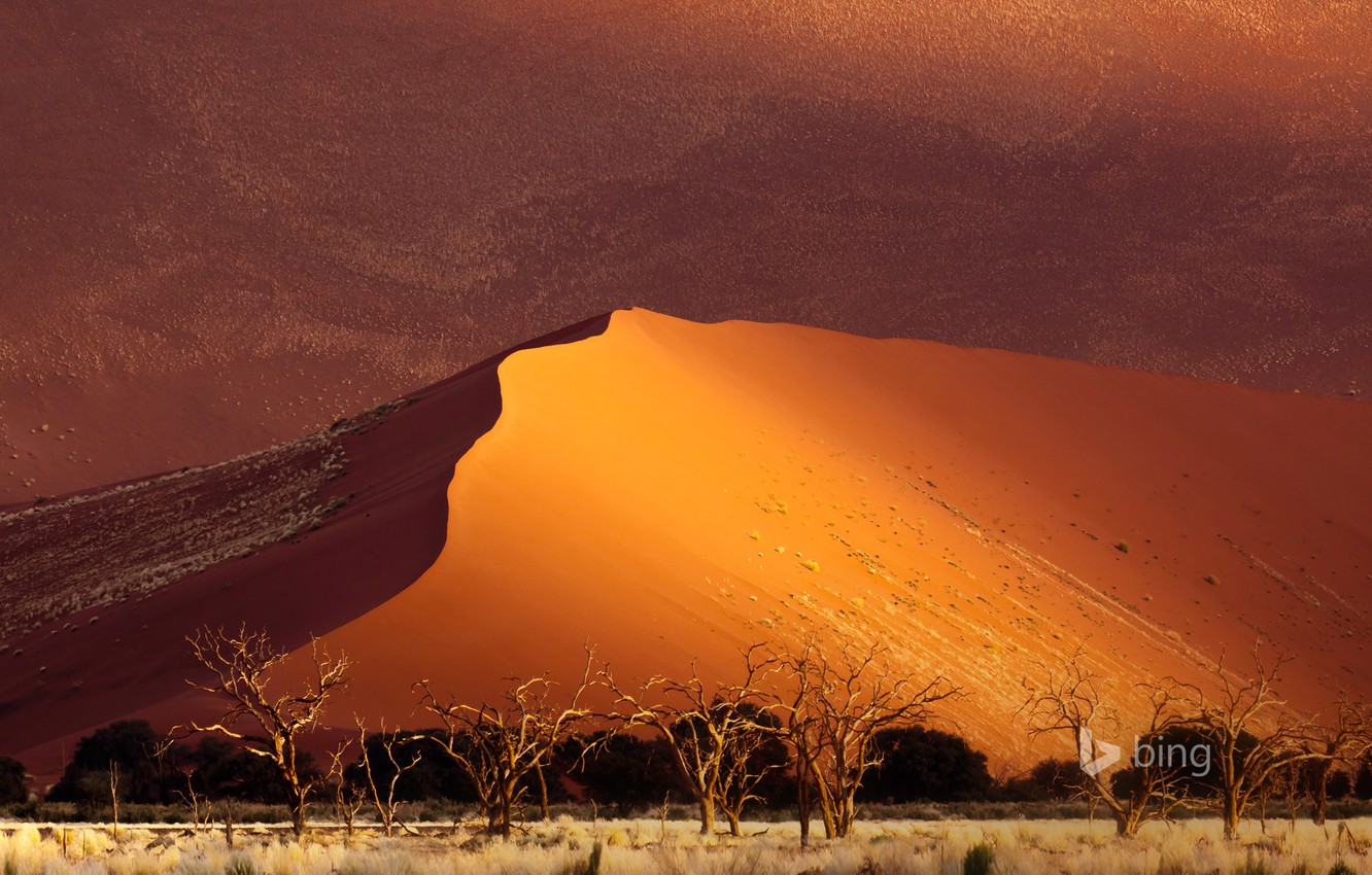 Sossusvlei Wallpapers