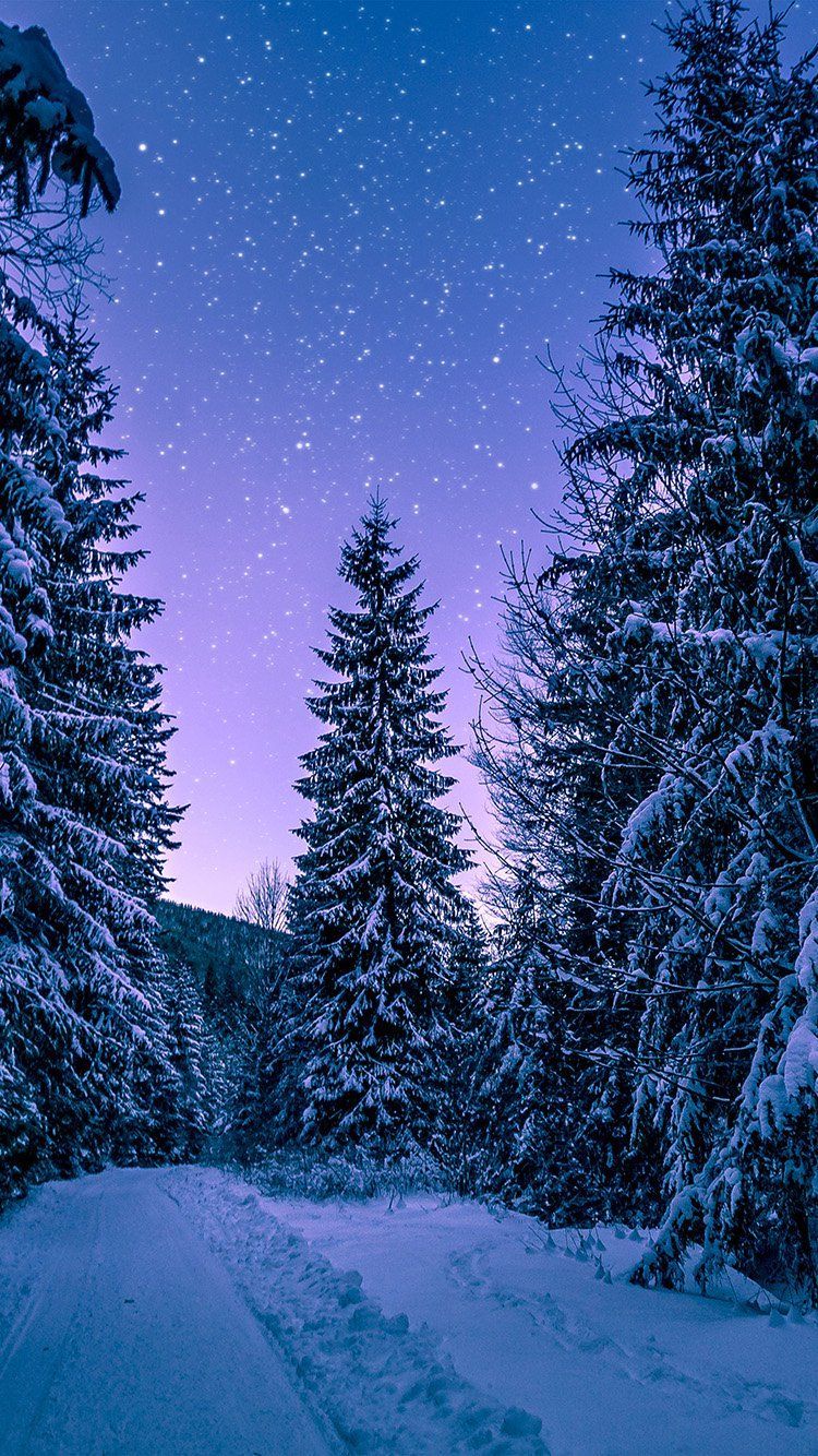 Starry Winter Night Wallpapers