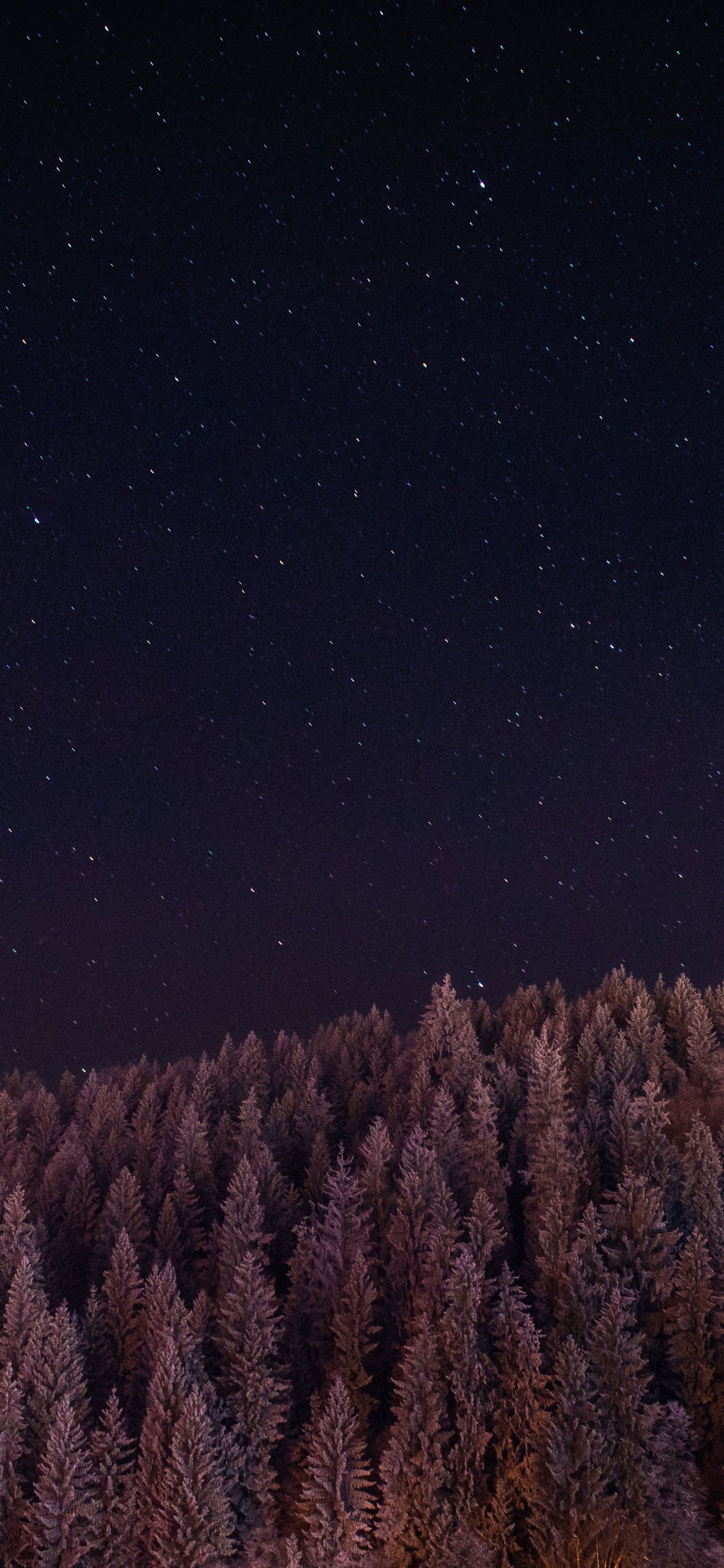 Stars Trees Night Dark Sky Wallpapers