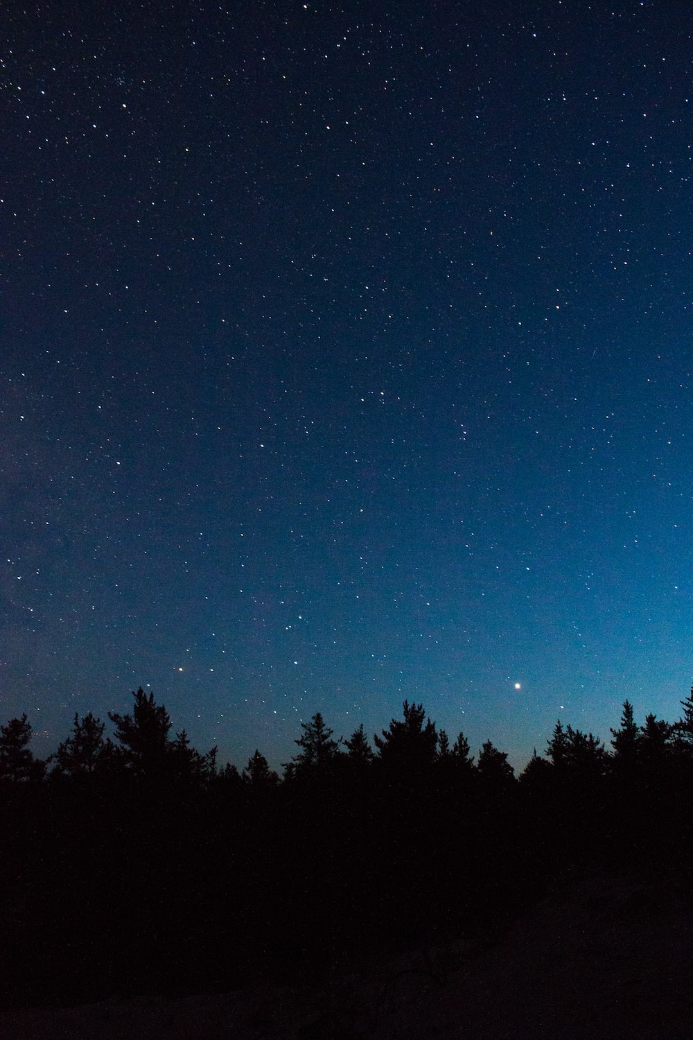 Stars Trees Night Dark Sky Wallpapers