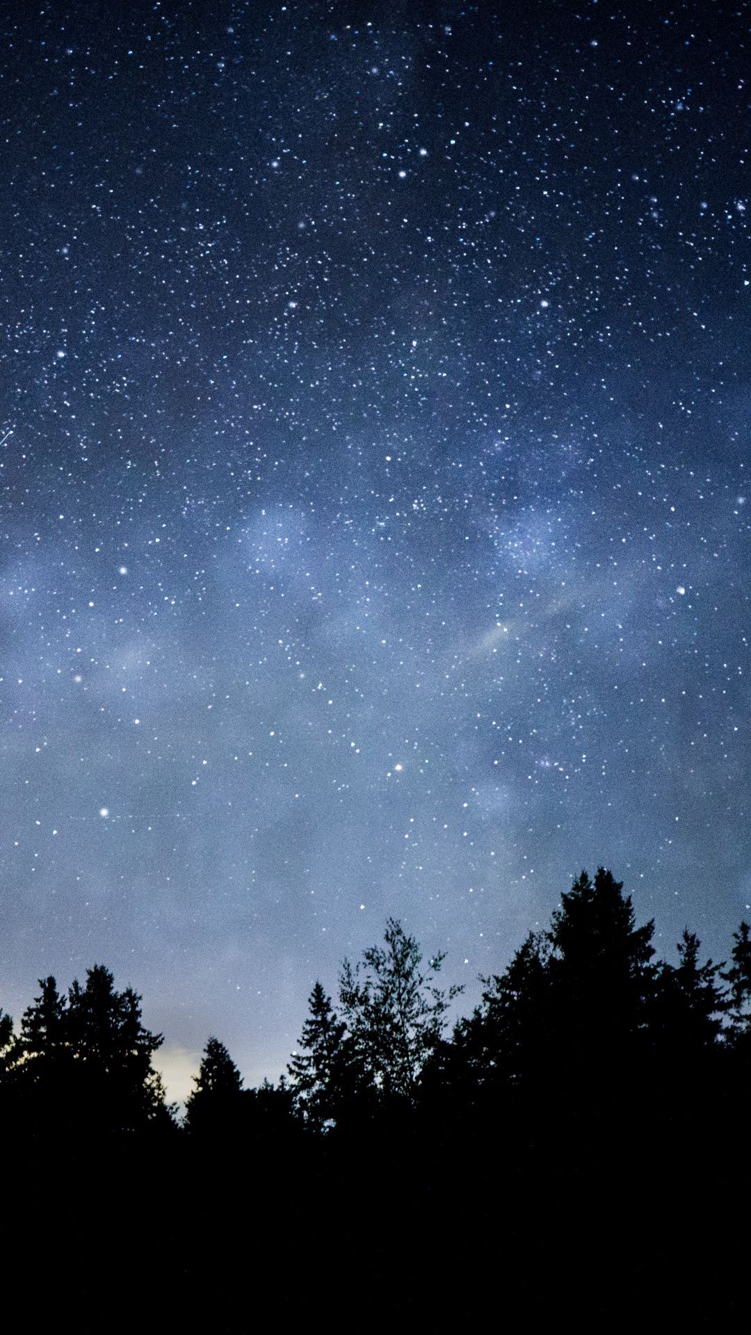 Stars Trees Night Dark Sky Wallpapers