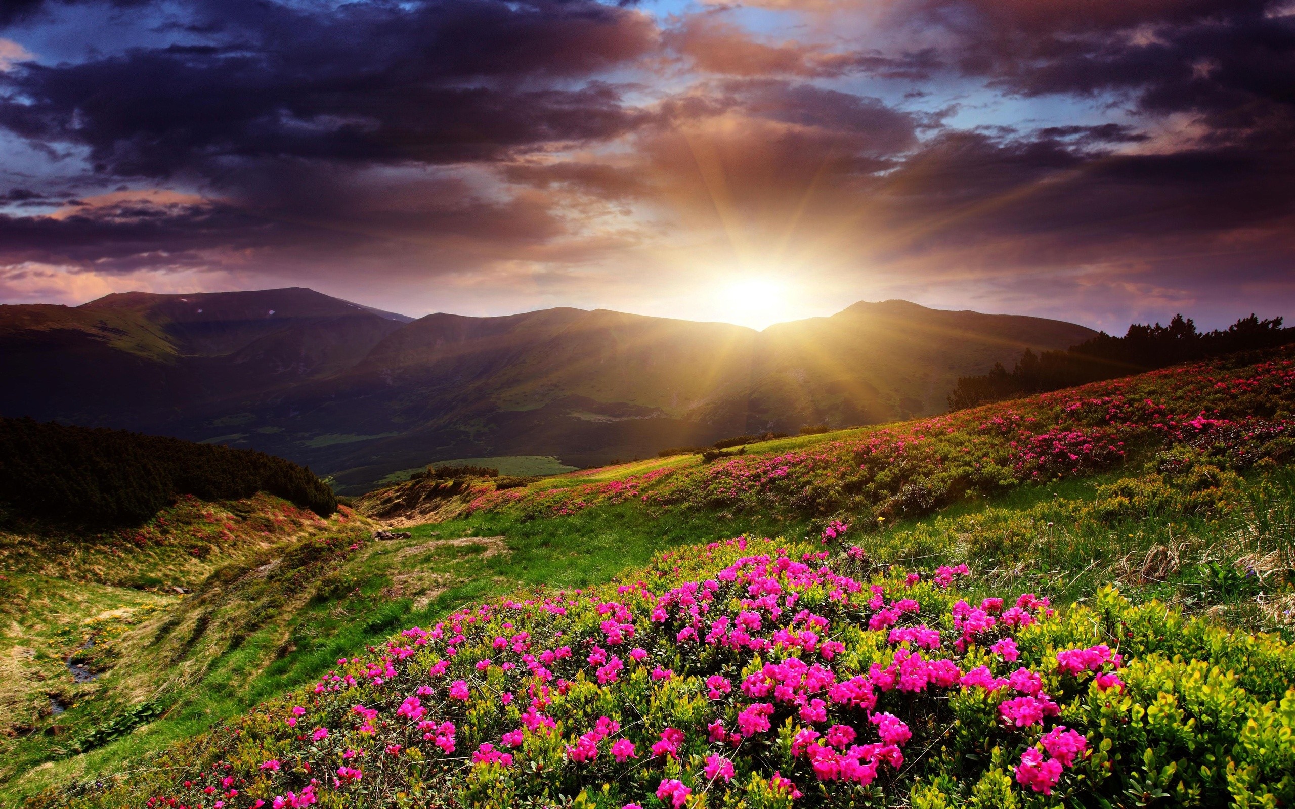 Start Of Sunrises Over Mountains Wallpapers