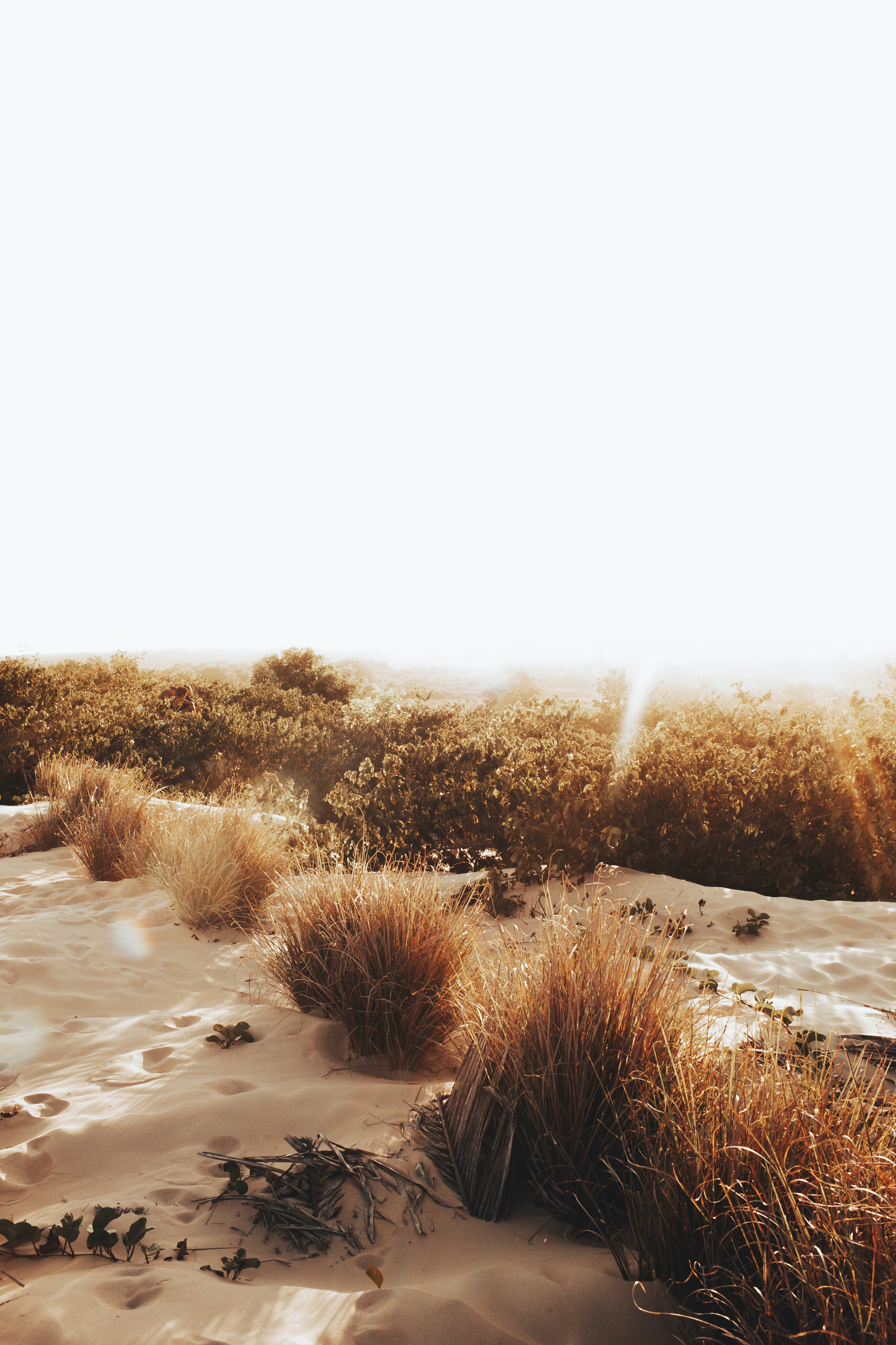 Sunny Day In Desert 4K Wallpapers