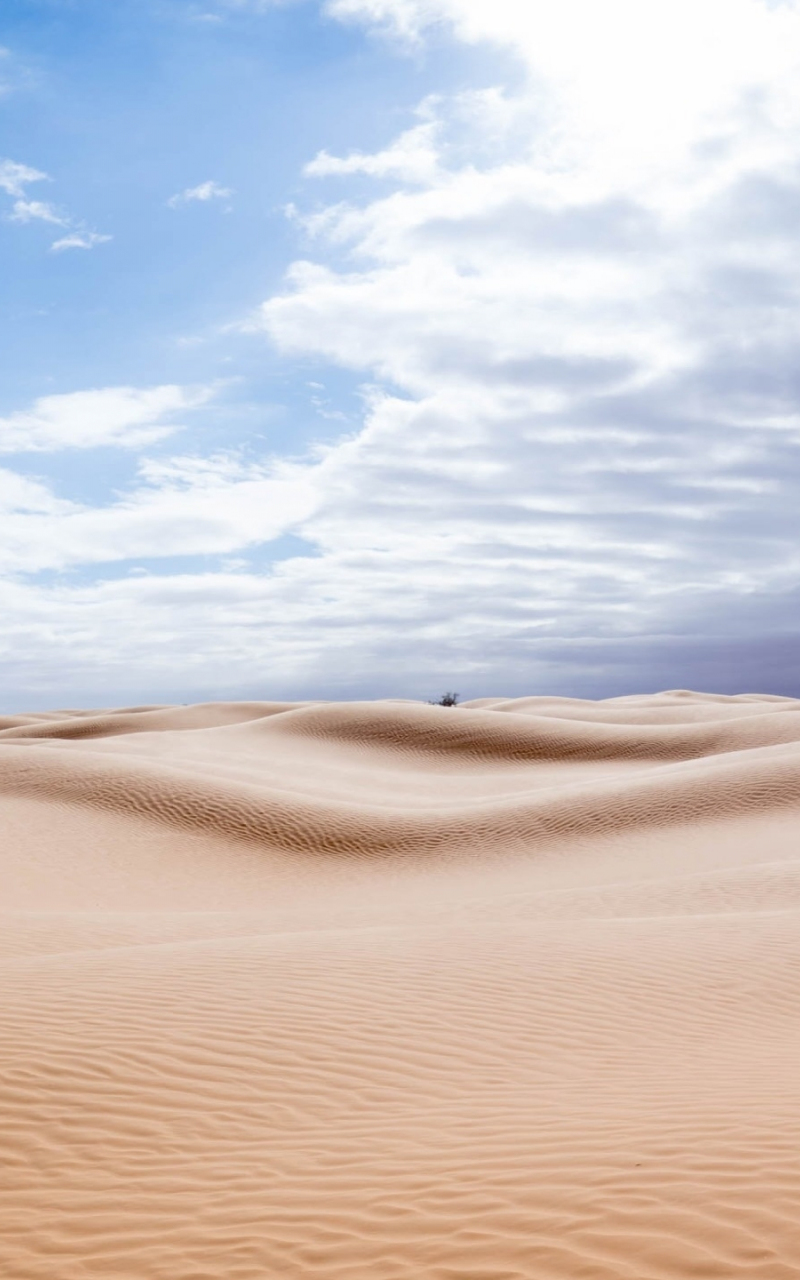 Sunny Day In Desert 4K Wallpapers