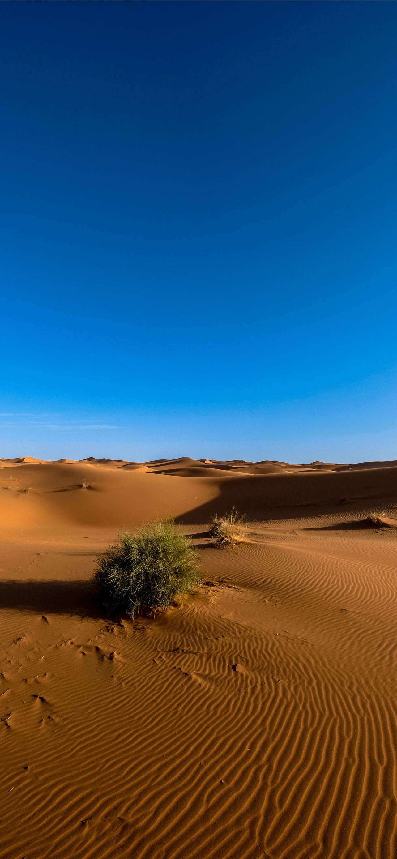 Sunny Day In Desert 4K Wallpapers