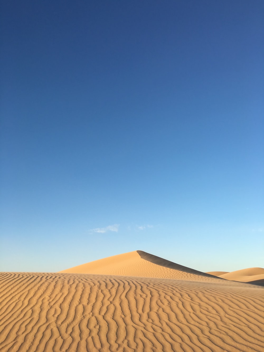 Sunny Day In Desert 4K Wallpapers