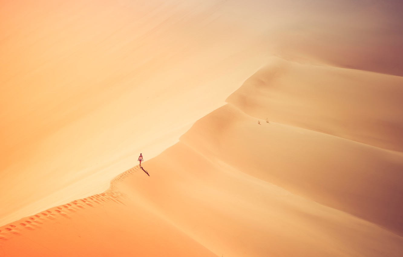 Sunny Day In Desert 4K Wallpapers