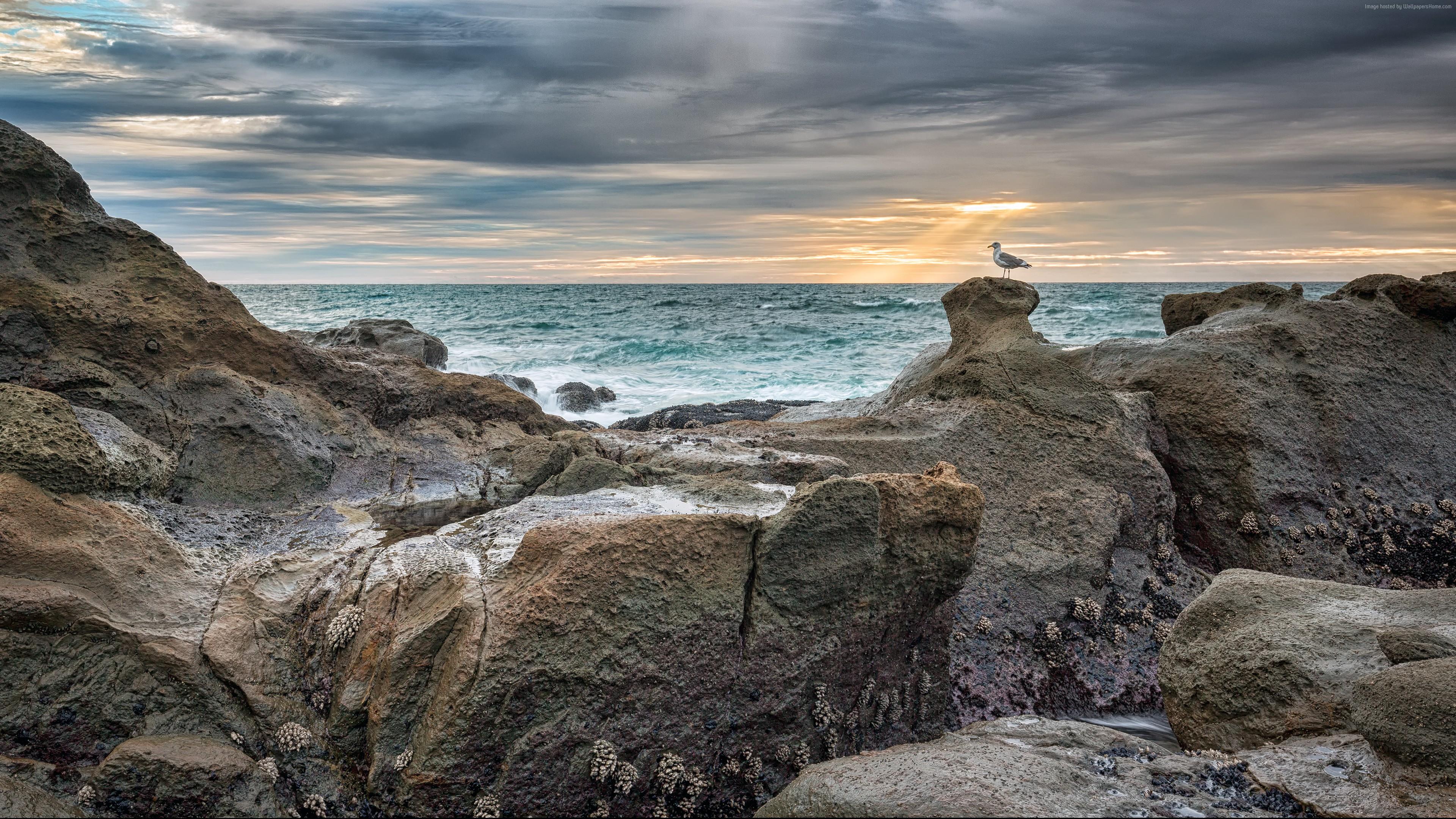 Sunrise Coastline 4K Wallpapers