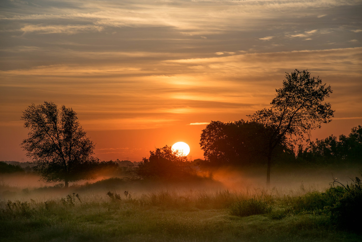 Sunrise In Morning Wallpapers