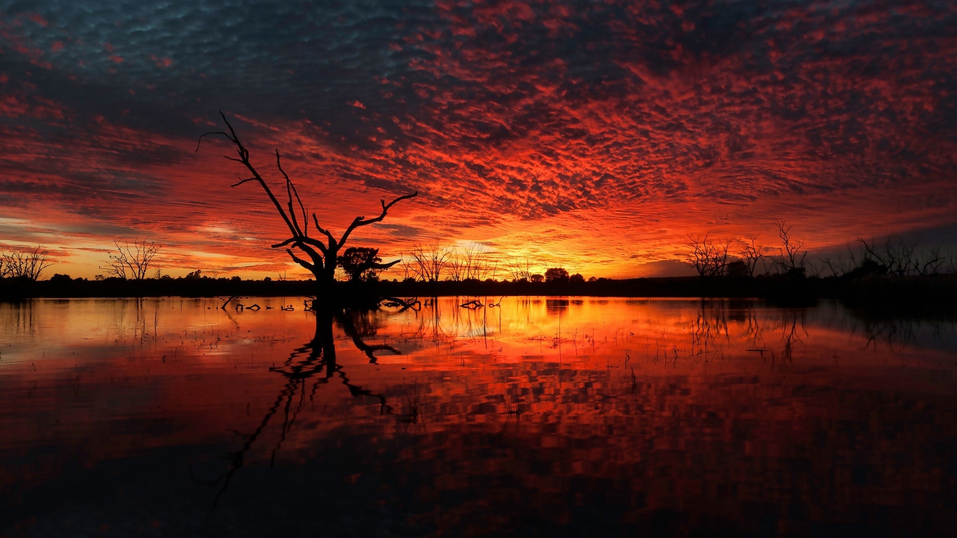 Sunset And Horizon Orange Reflection Wallpapers