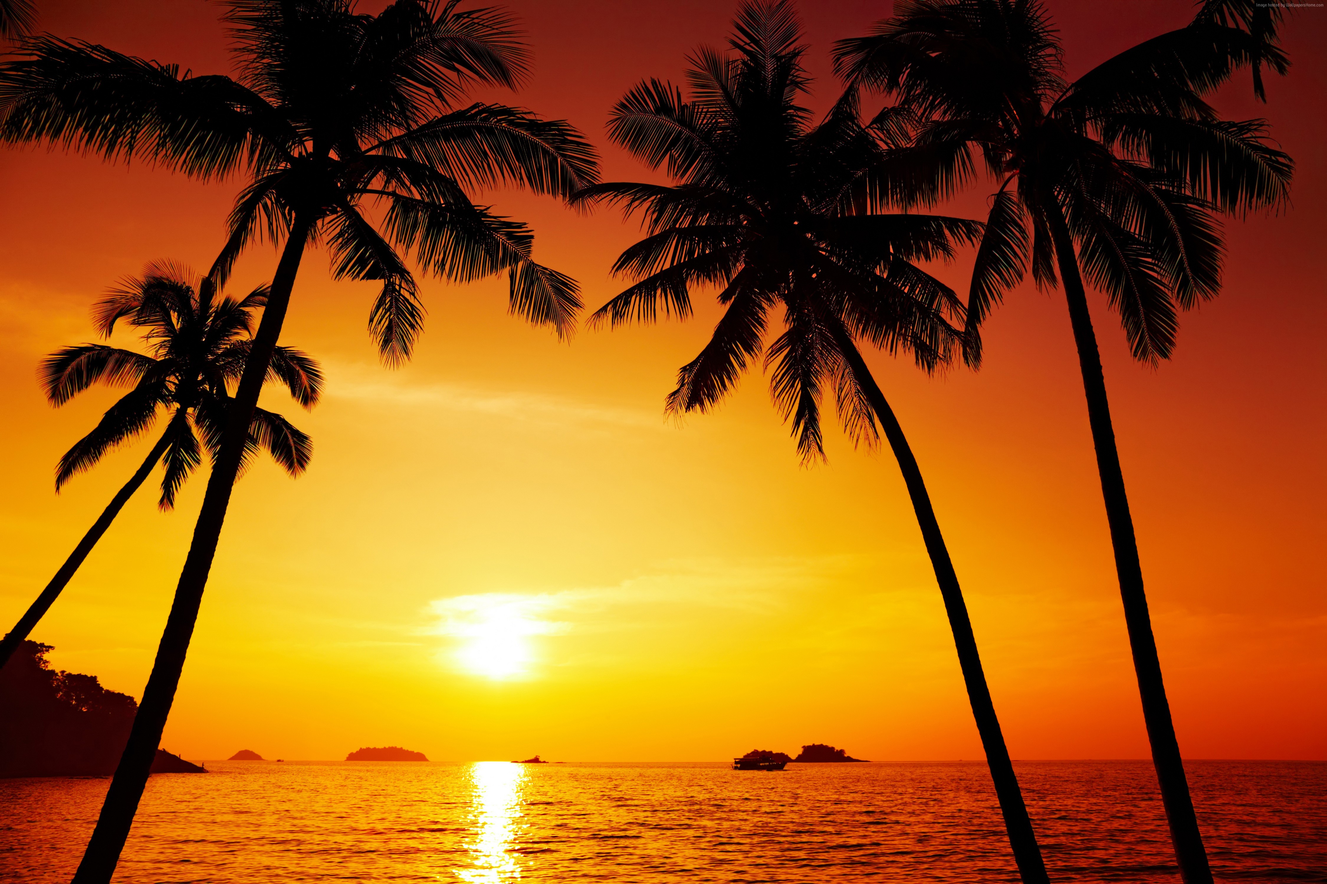 Sunset Ocean Wallpapers