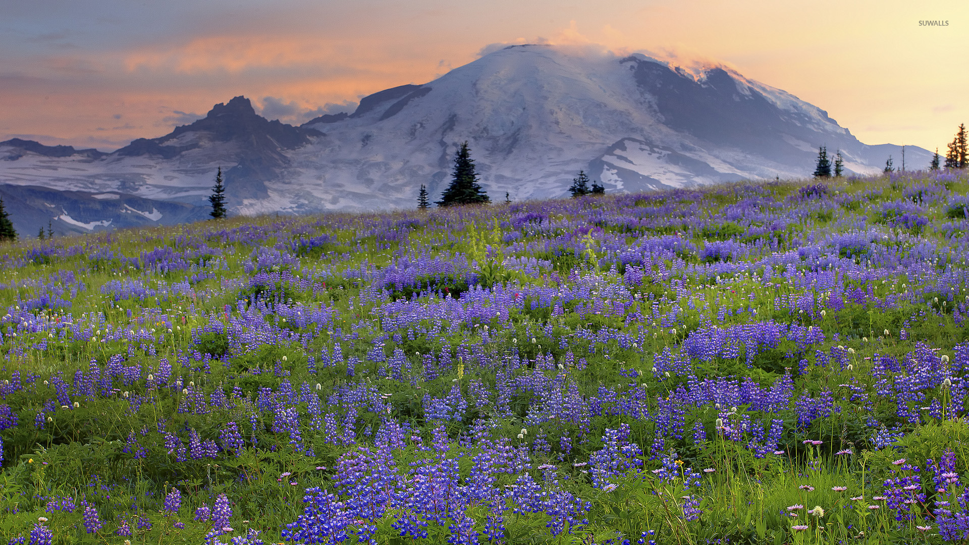 Sunset Over Mountain Field Wallpapers