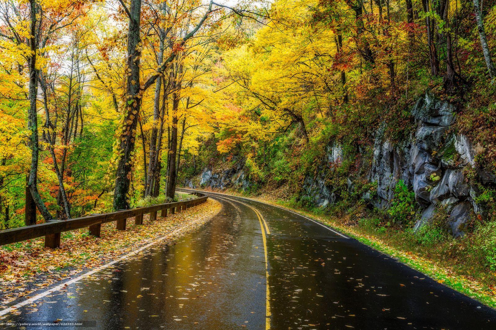 Tennessee Road Wallpapers