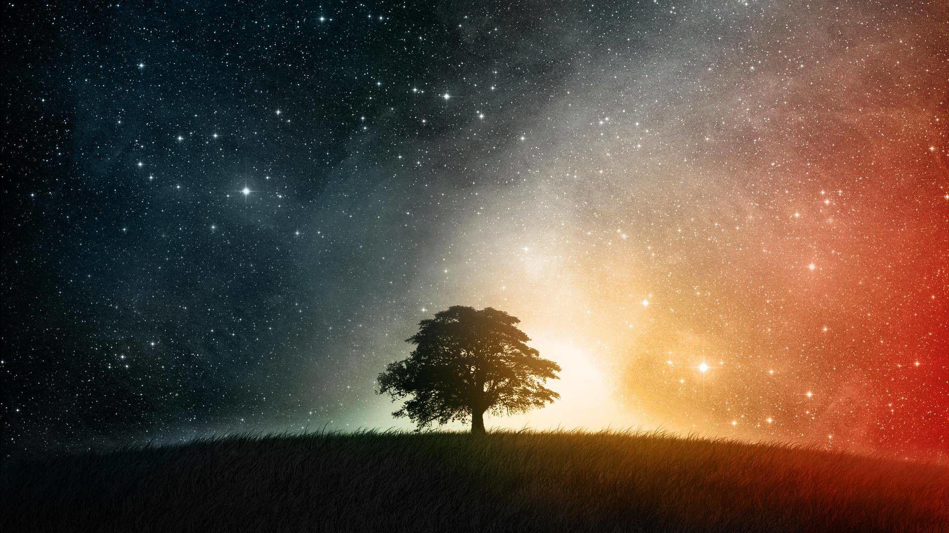 The Night Sky Wallpapers