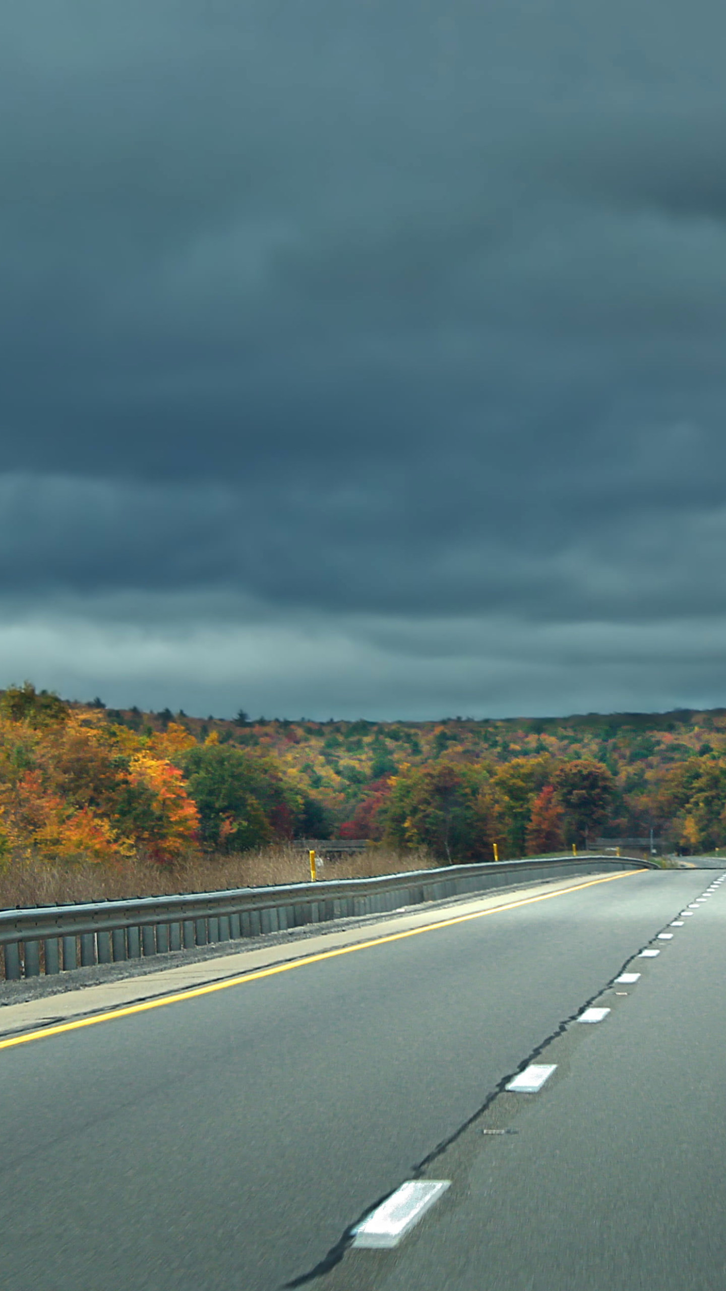 Tree-Lined Empty Road Wallpapers