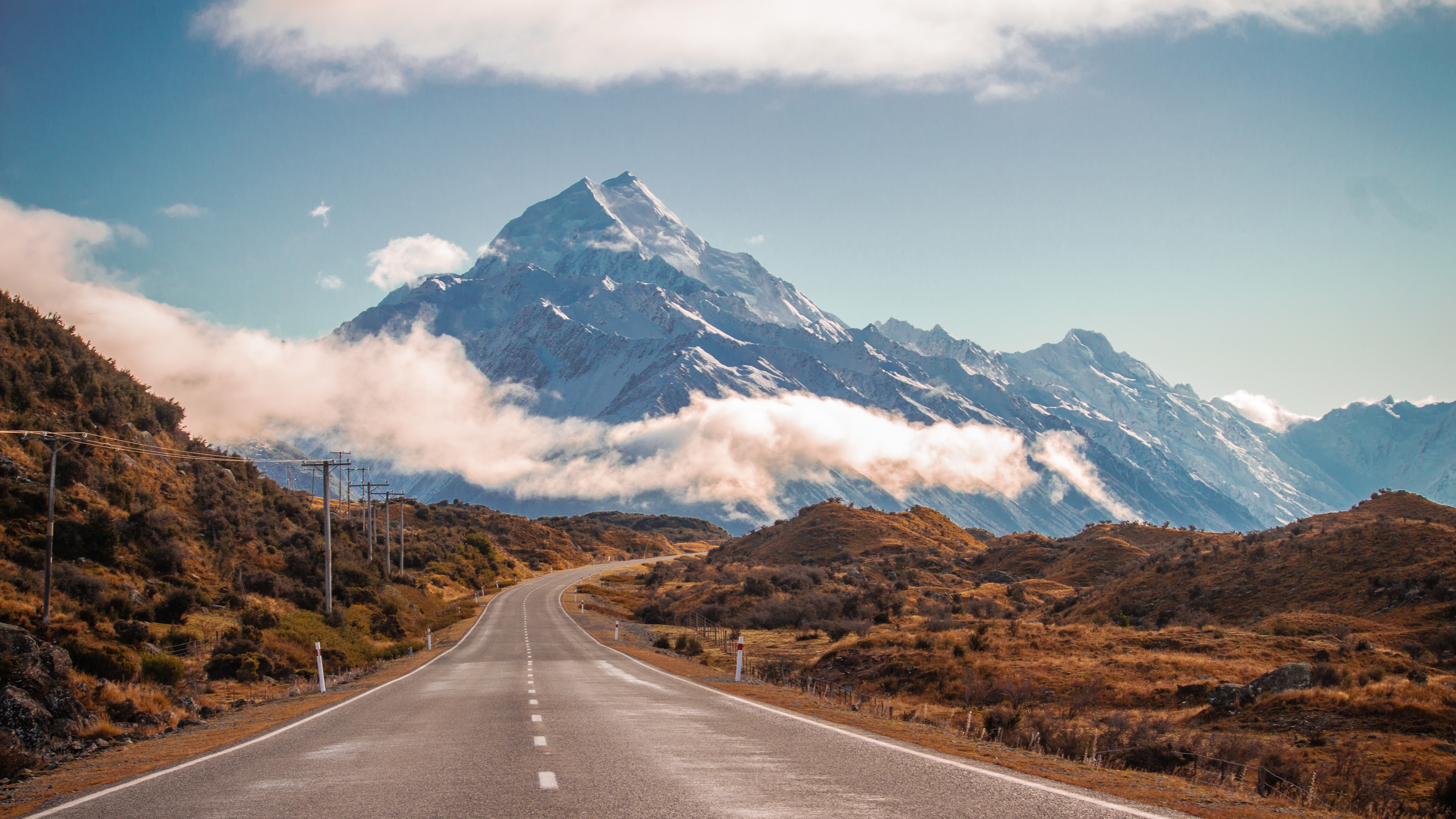 Tree-Lined Empty Road Wallpapers