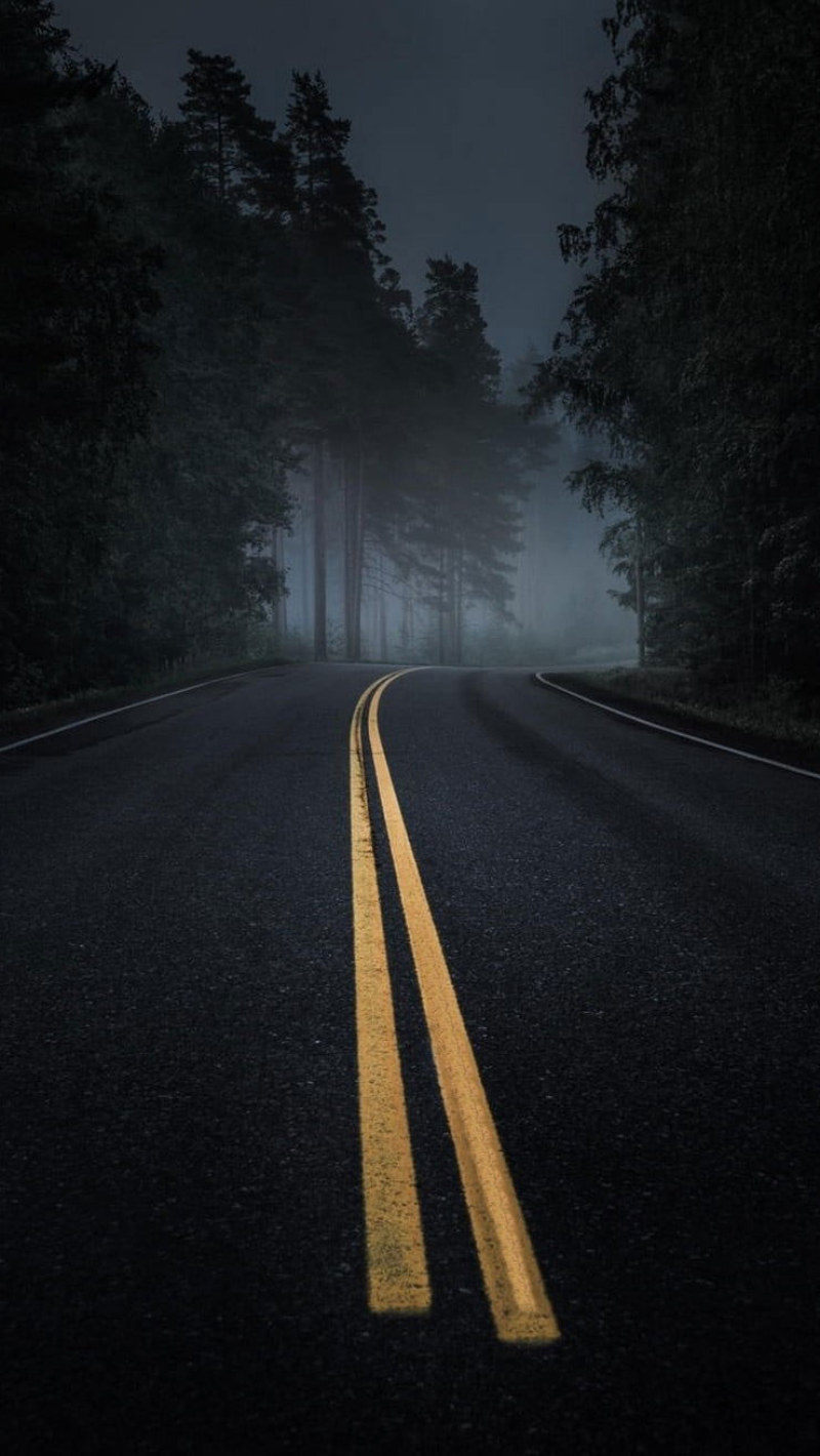 Tree-Lined Empty Road Wallpapers