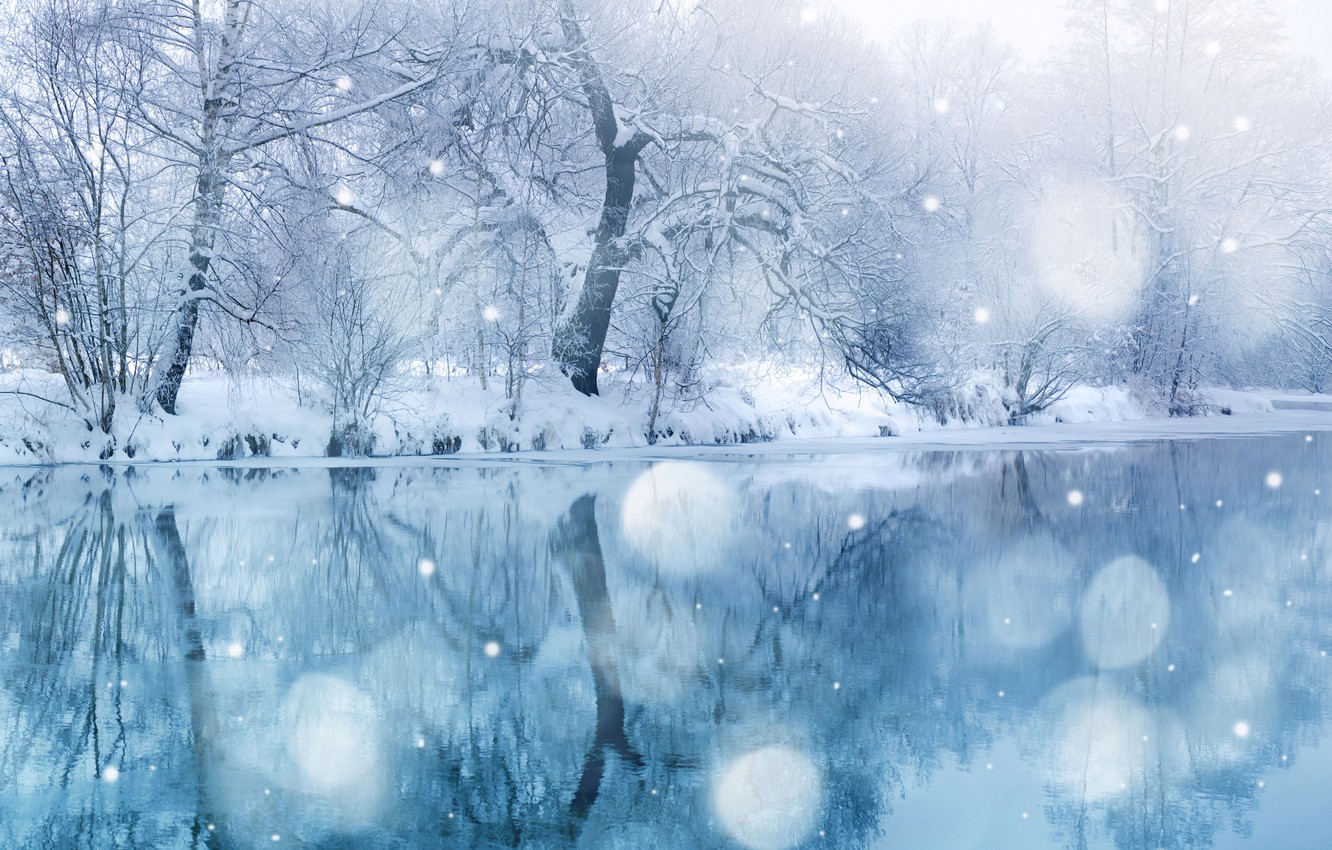 Trees Covered By Snow In Winter Wallpapers