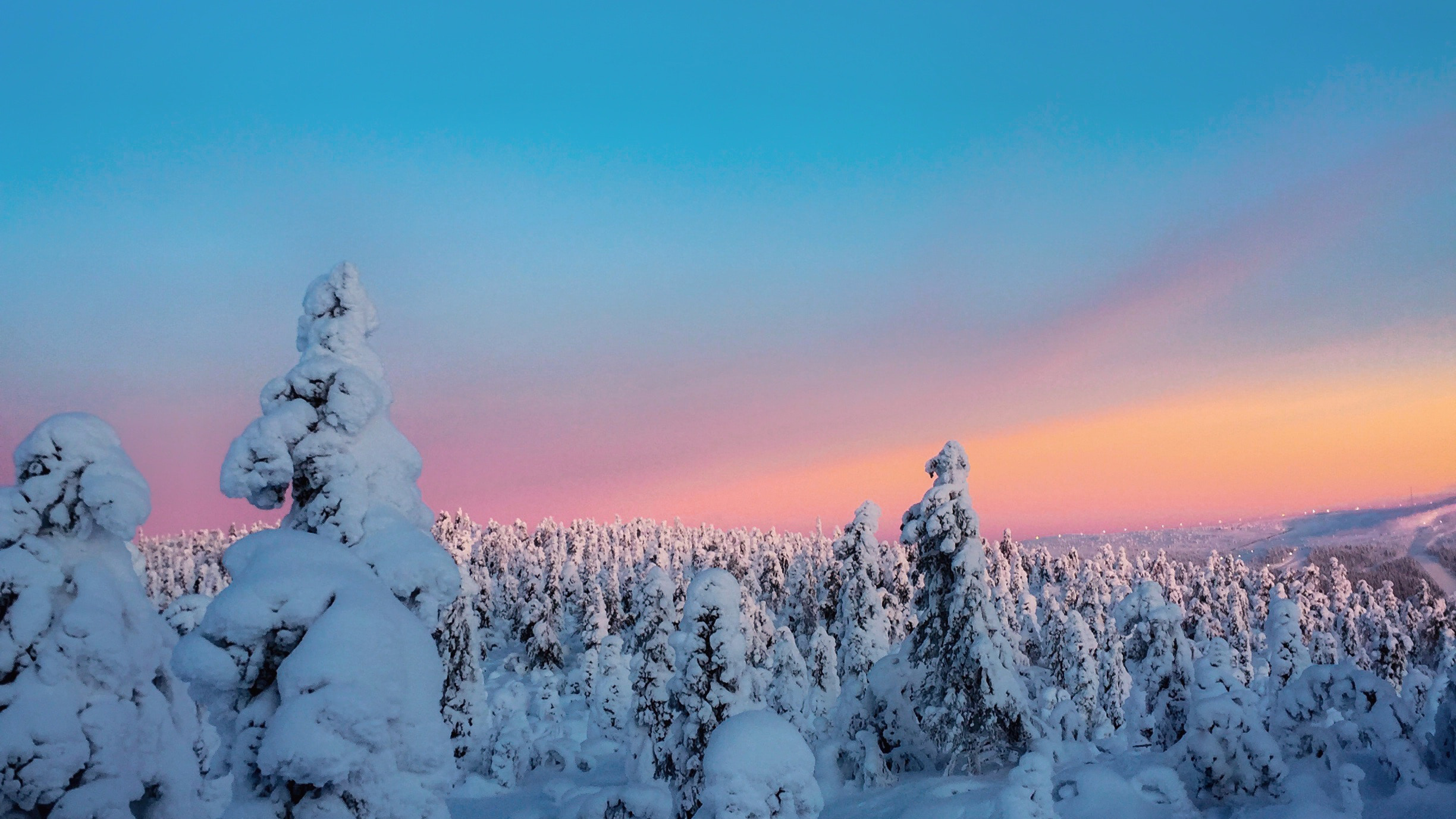 Trees Covered By Snow In Winter Wallpapers