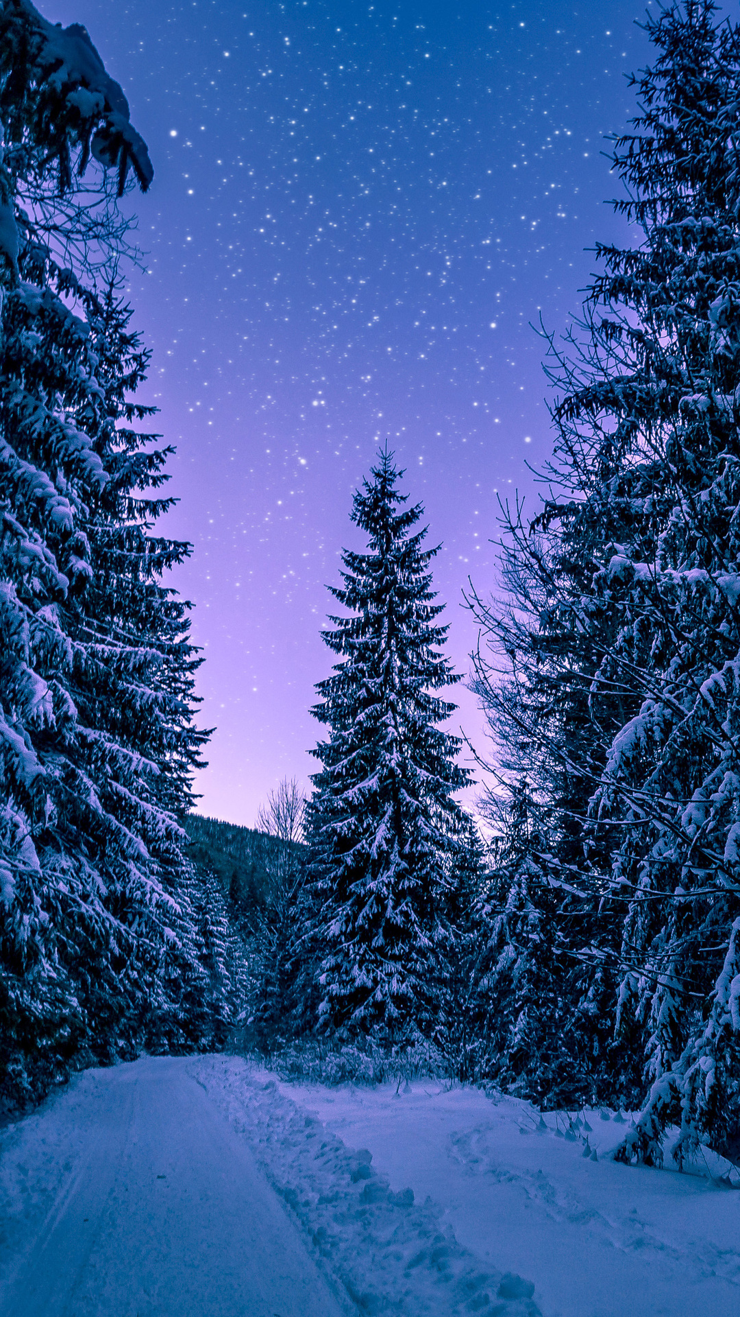 Trees Covered By Snow In Winter Wallpapers