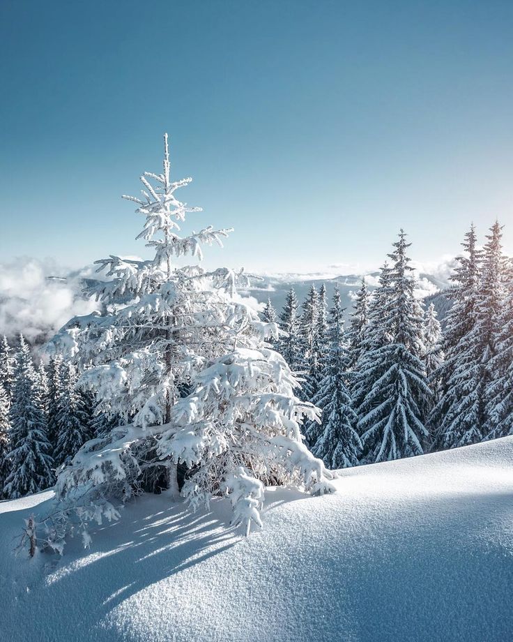 Ukrainian Bukovel In Winter Wallpapers