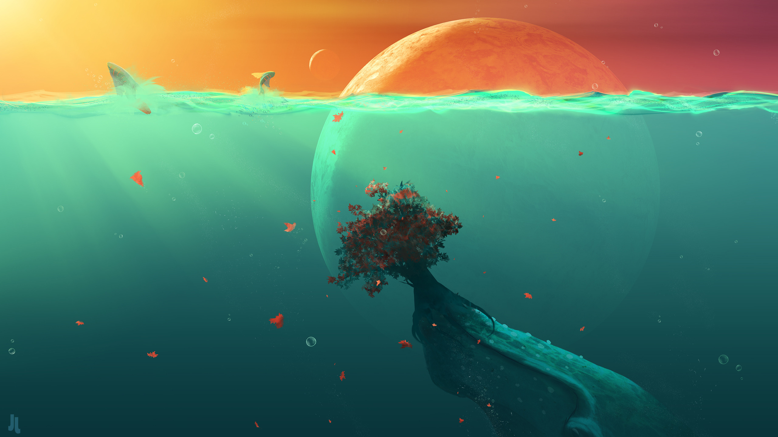 Underwater Sunset Wallpapers