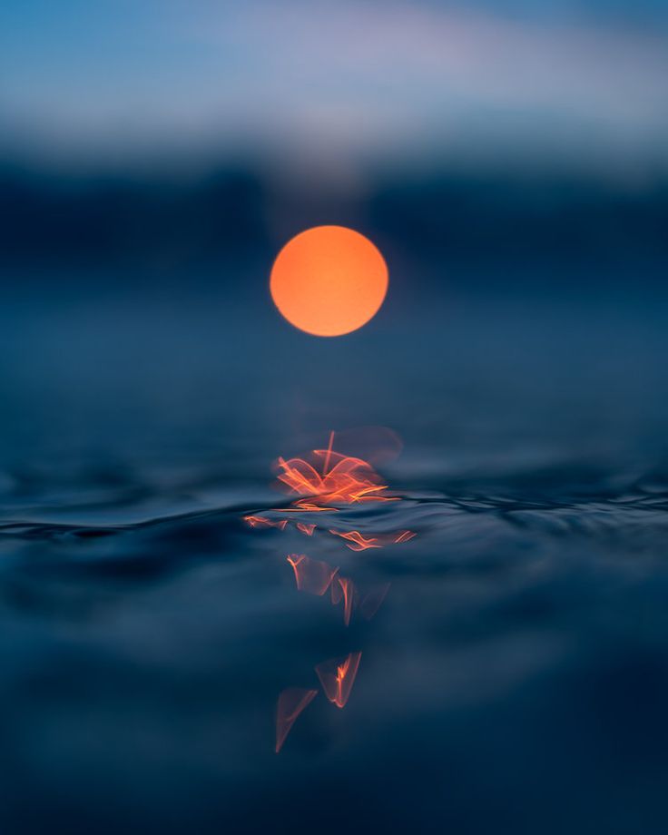 Underwater Sunset Wallpapers