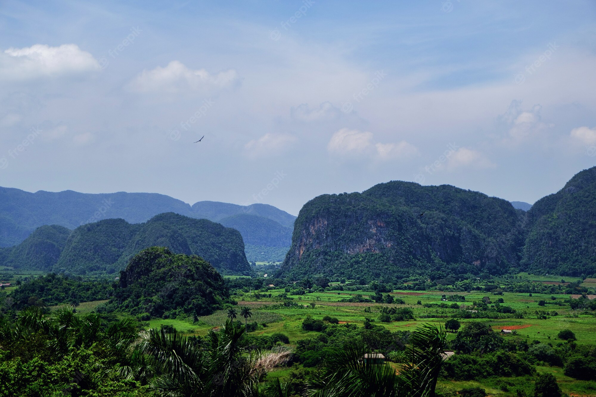 Vinales National Park Wallpapers