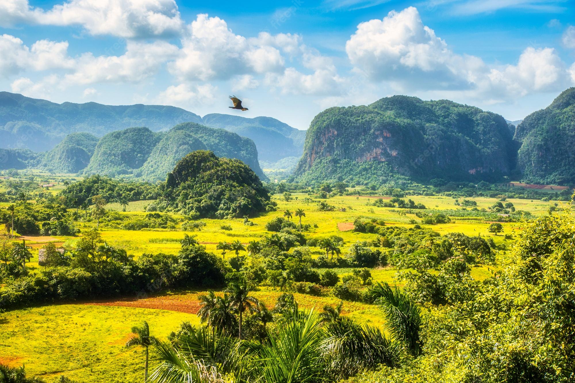 Vinales National Park Wallpapers