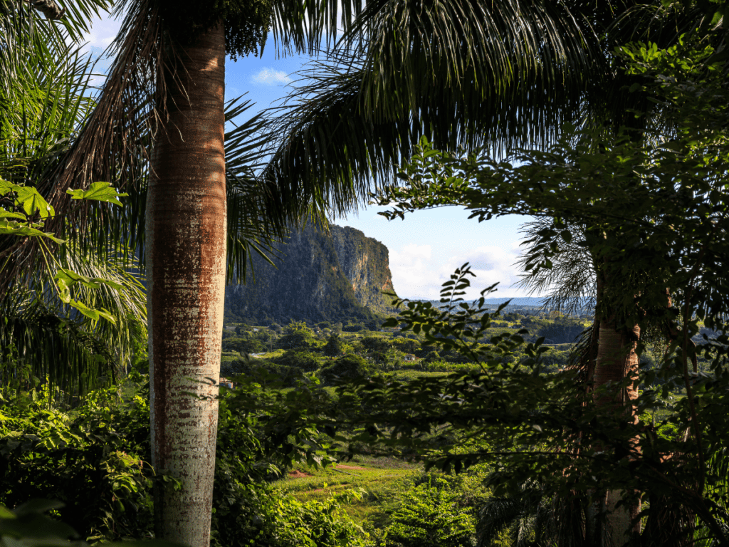 Vinales National Park Wallpapers