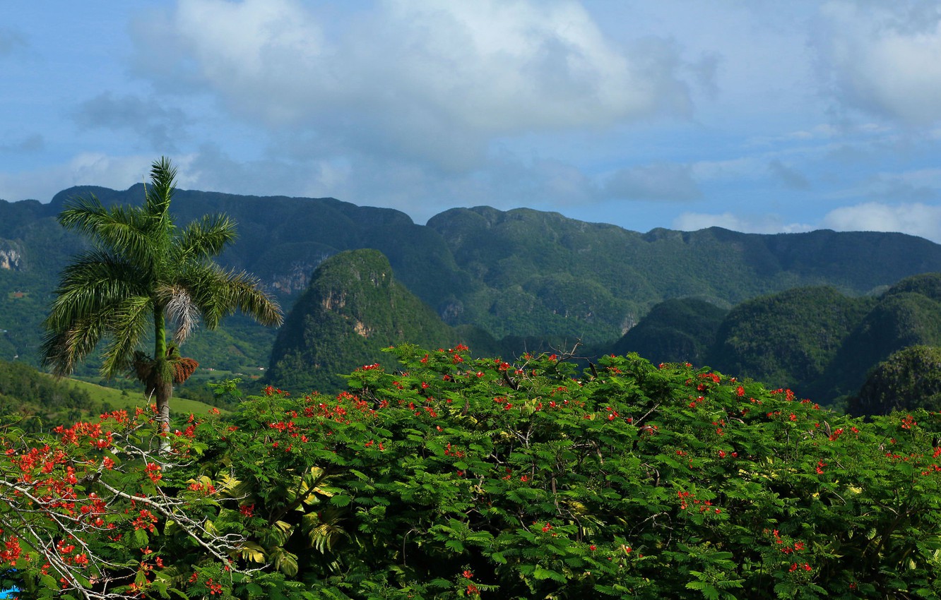 Vinales National Park Wallpapers