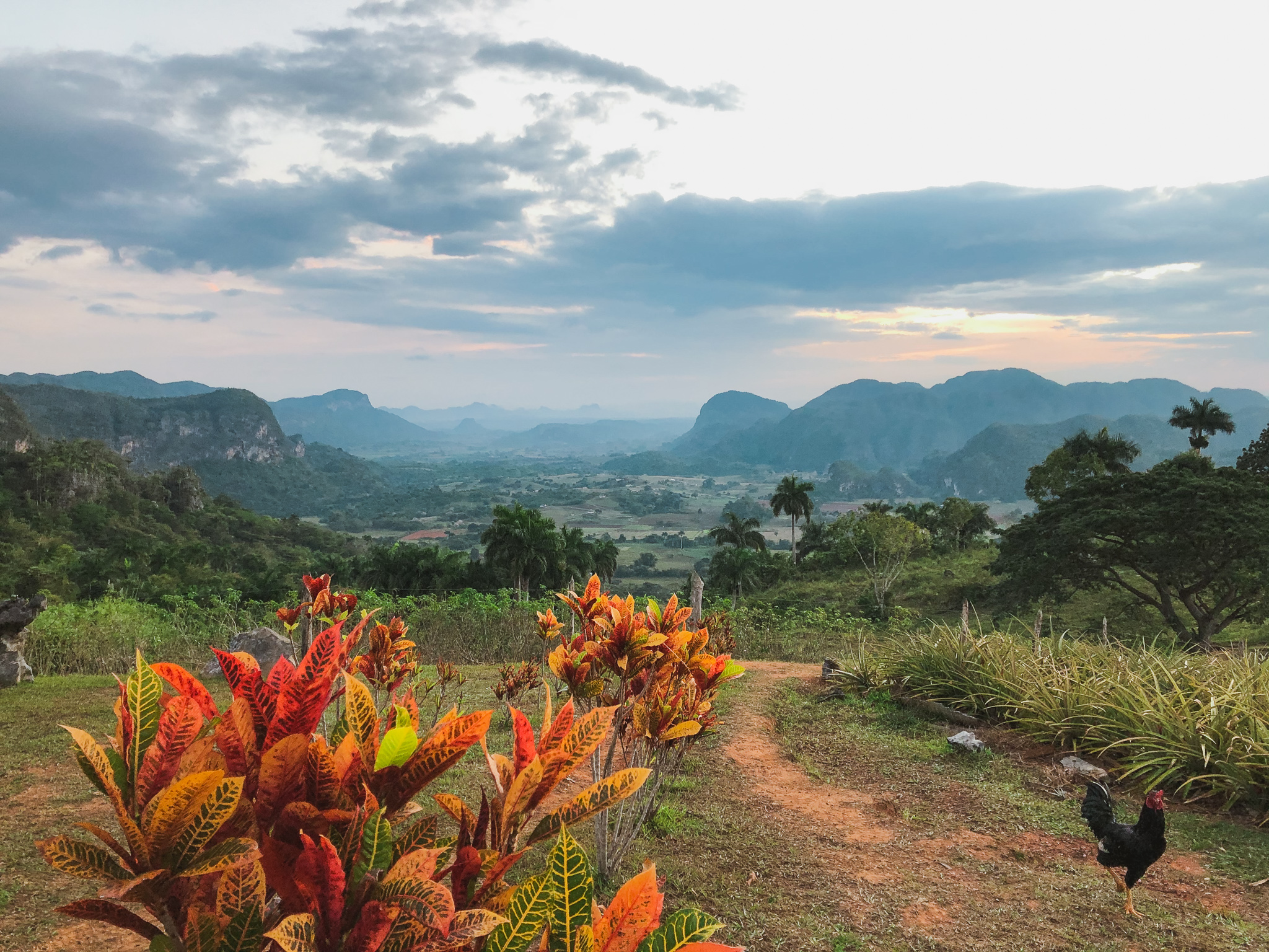 Vinales National Park Wallpapers