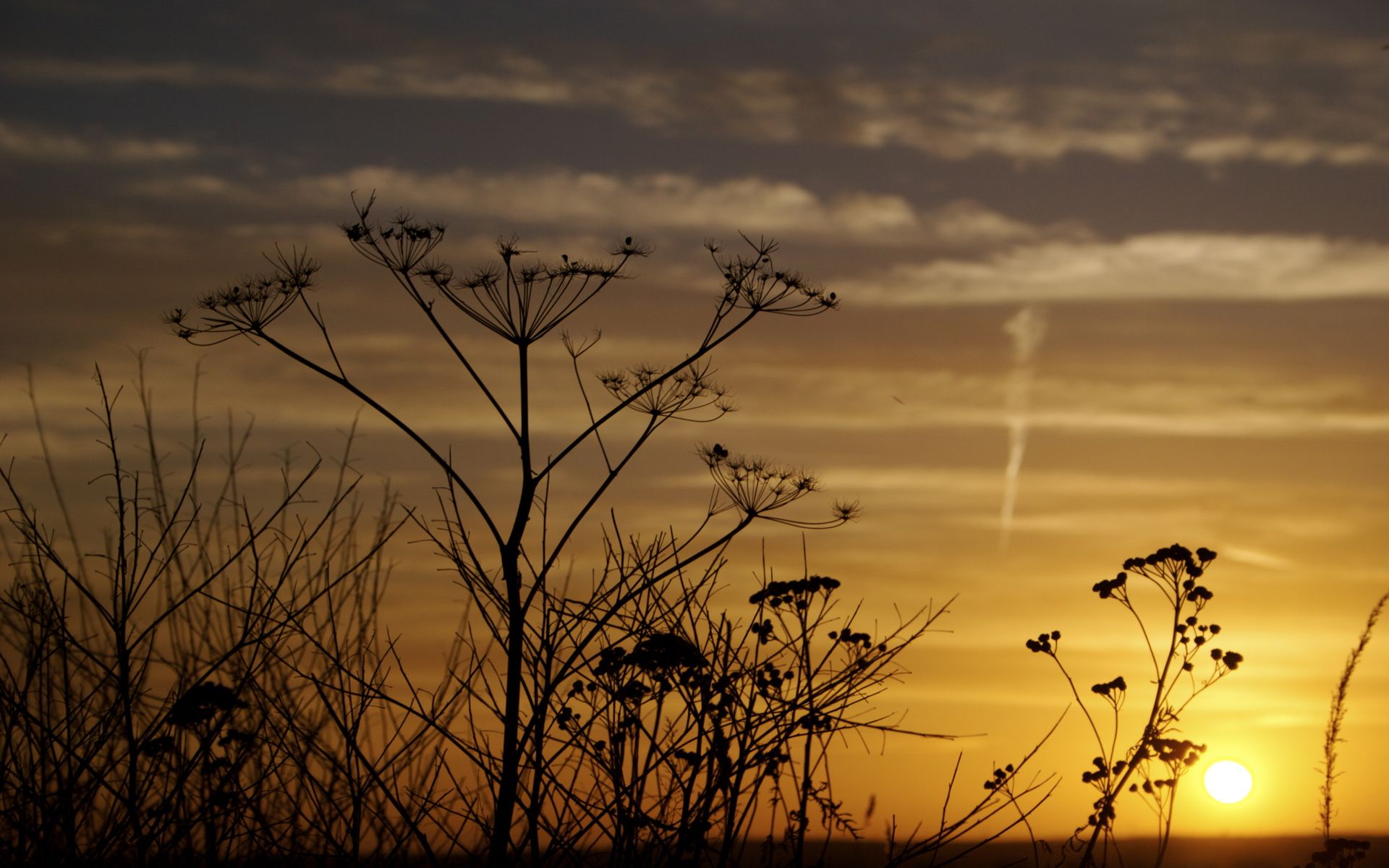 Warm Cloudy Evening Sunrise Wallpapers