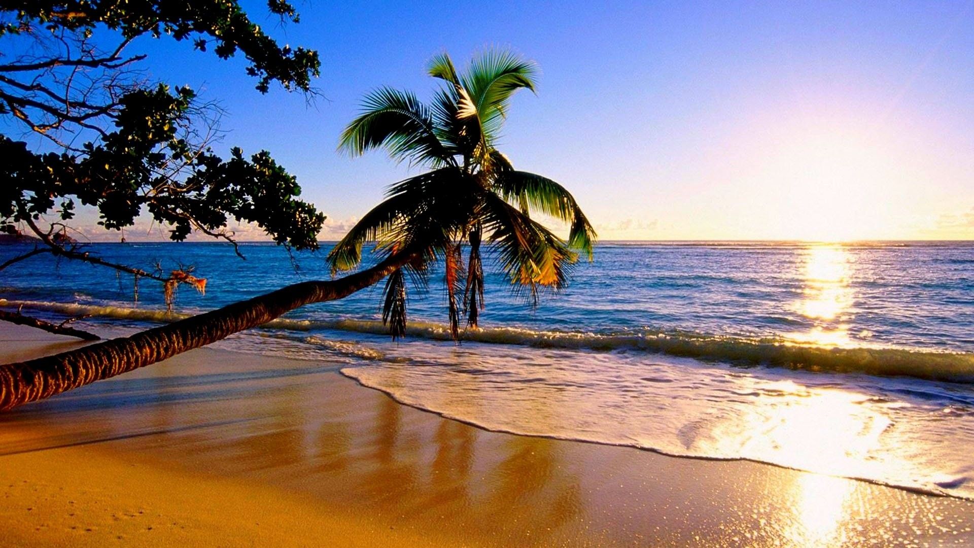 Water Beach Nature Wallpapers